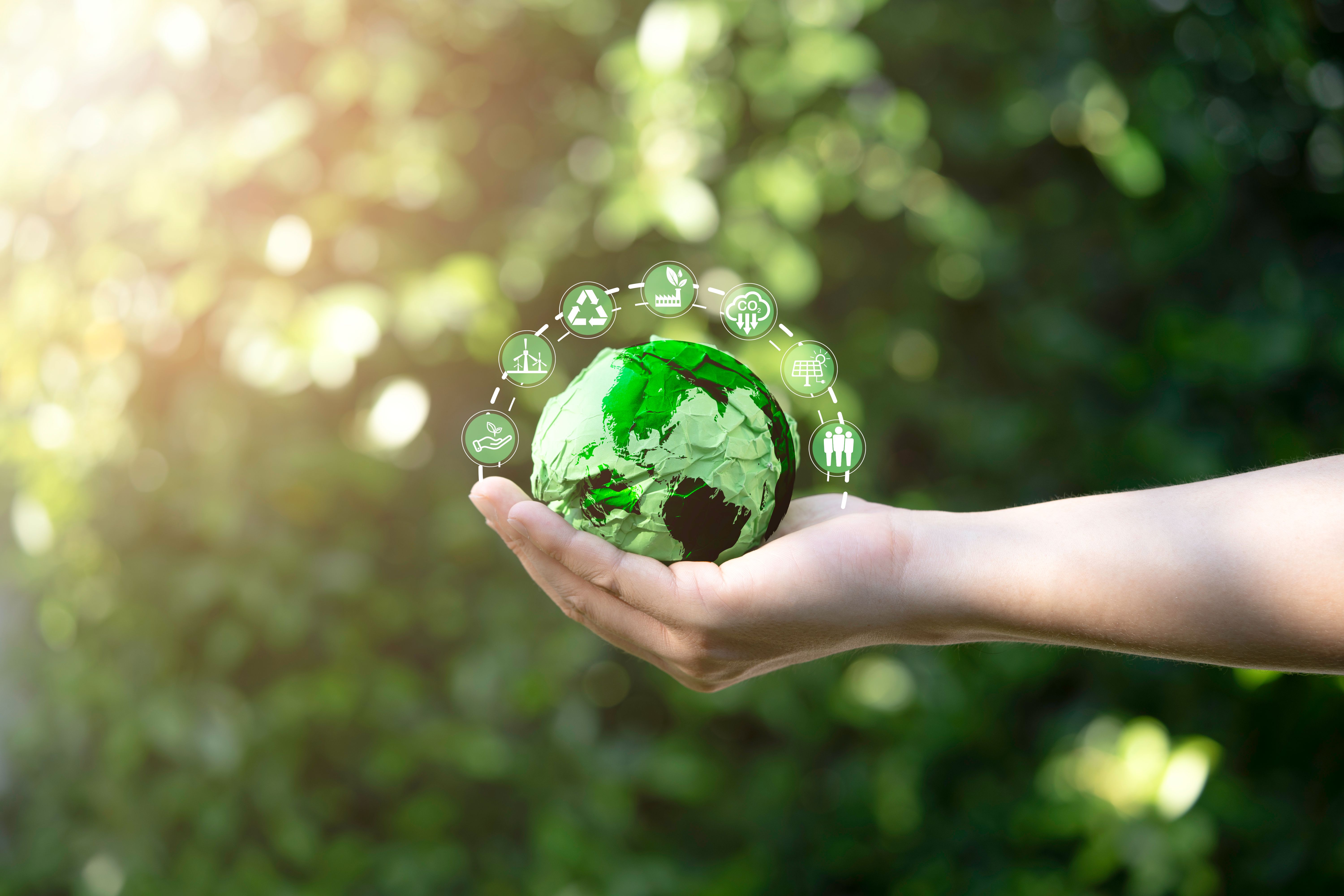 environmental sustainability