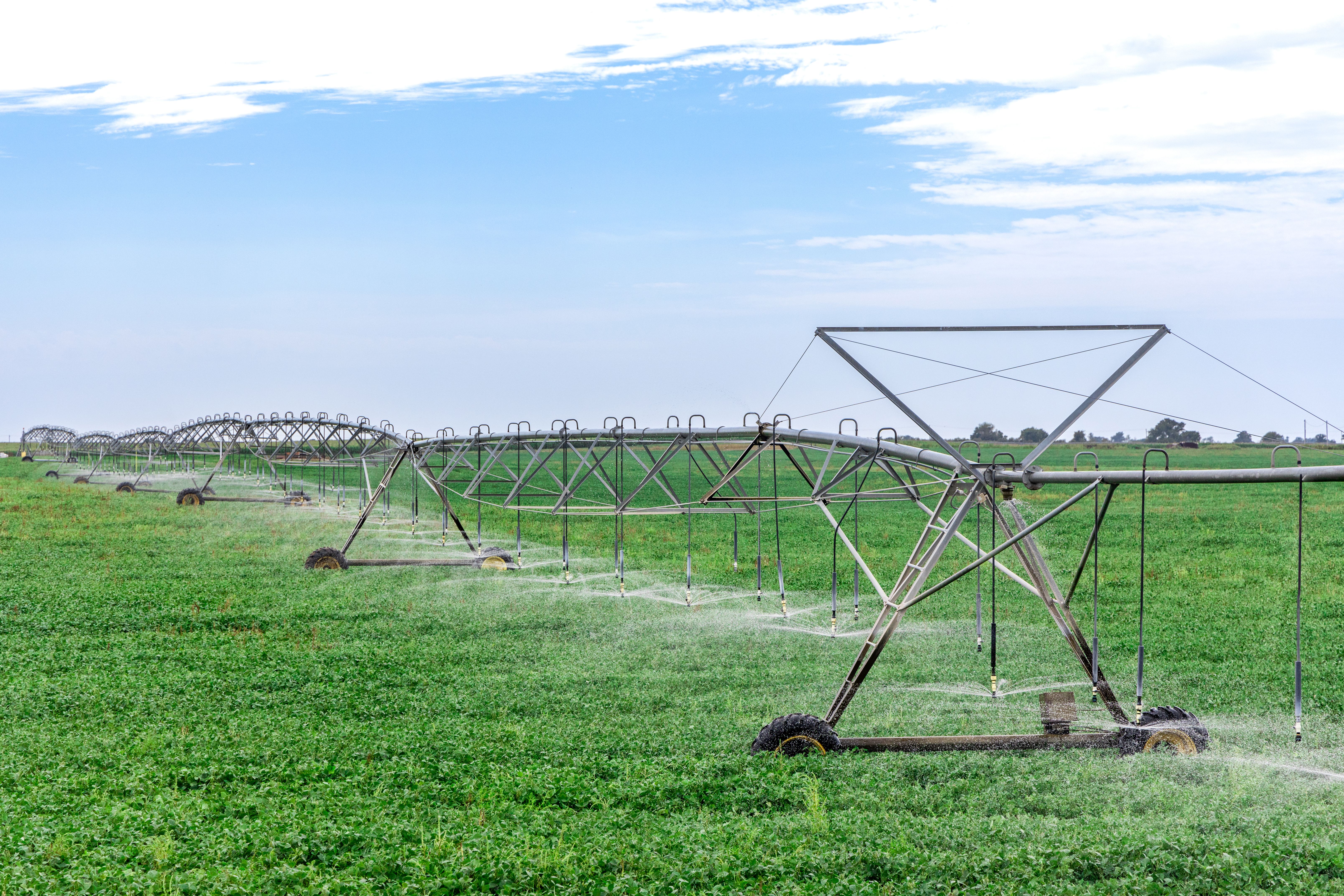 farmland rotation