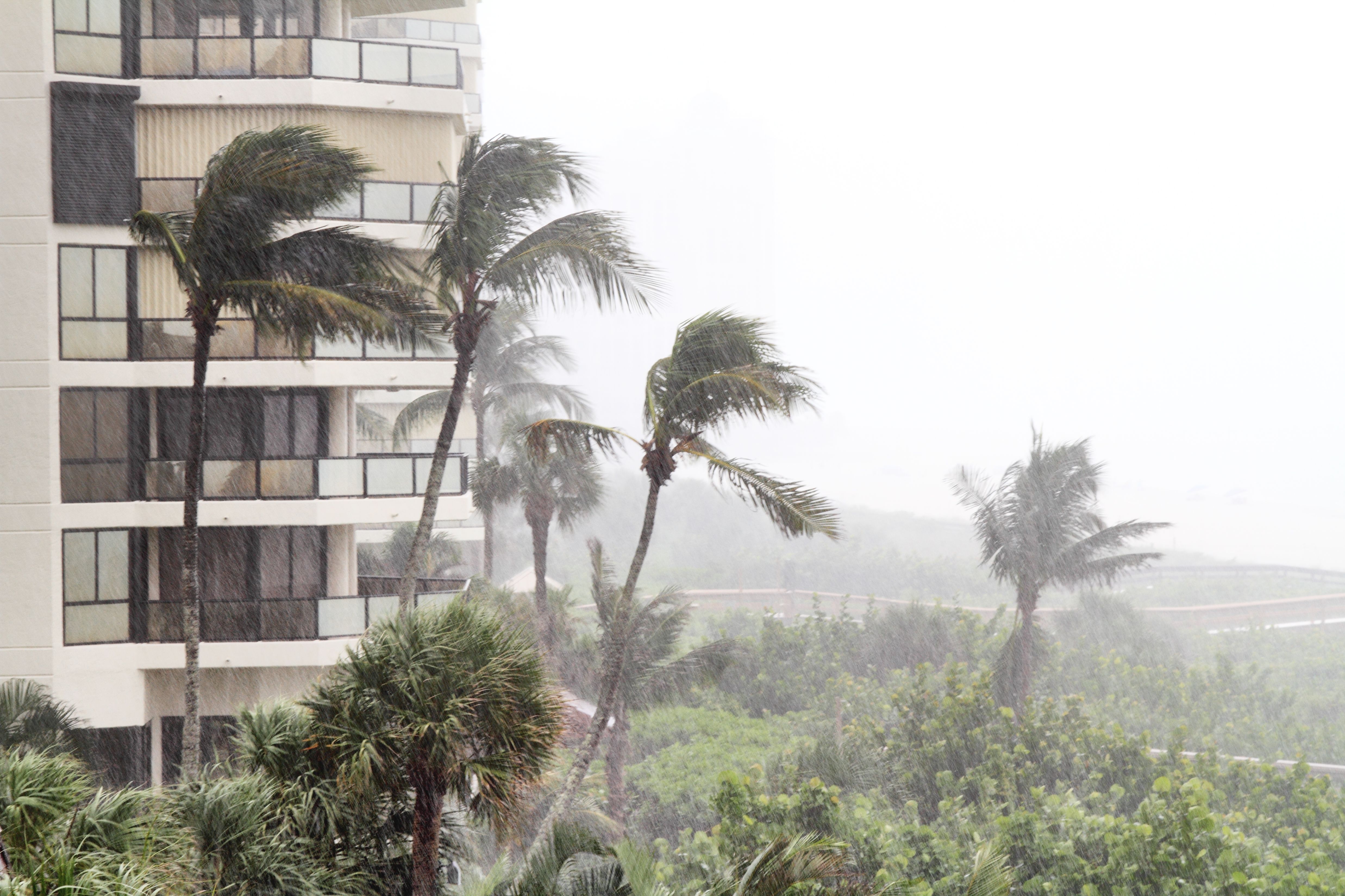 high-rise hurricane
