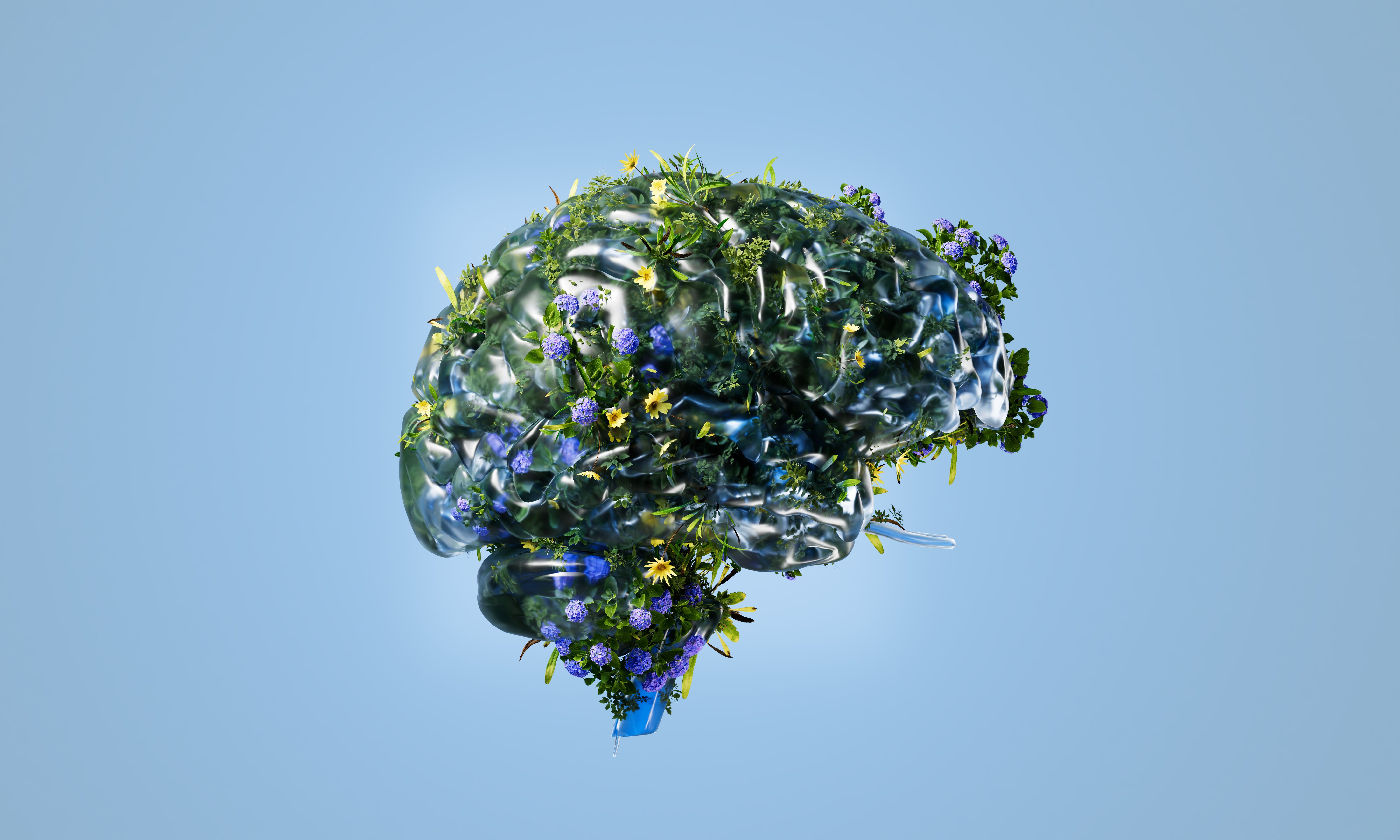 environmental practices