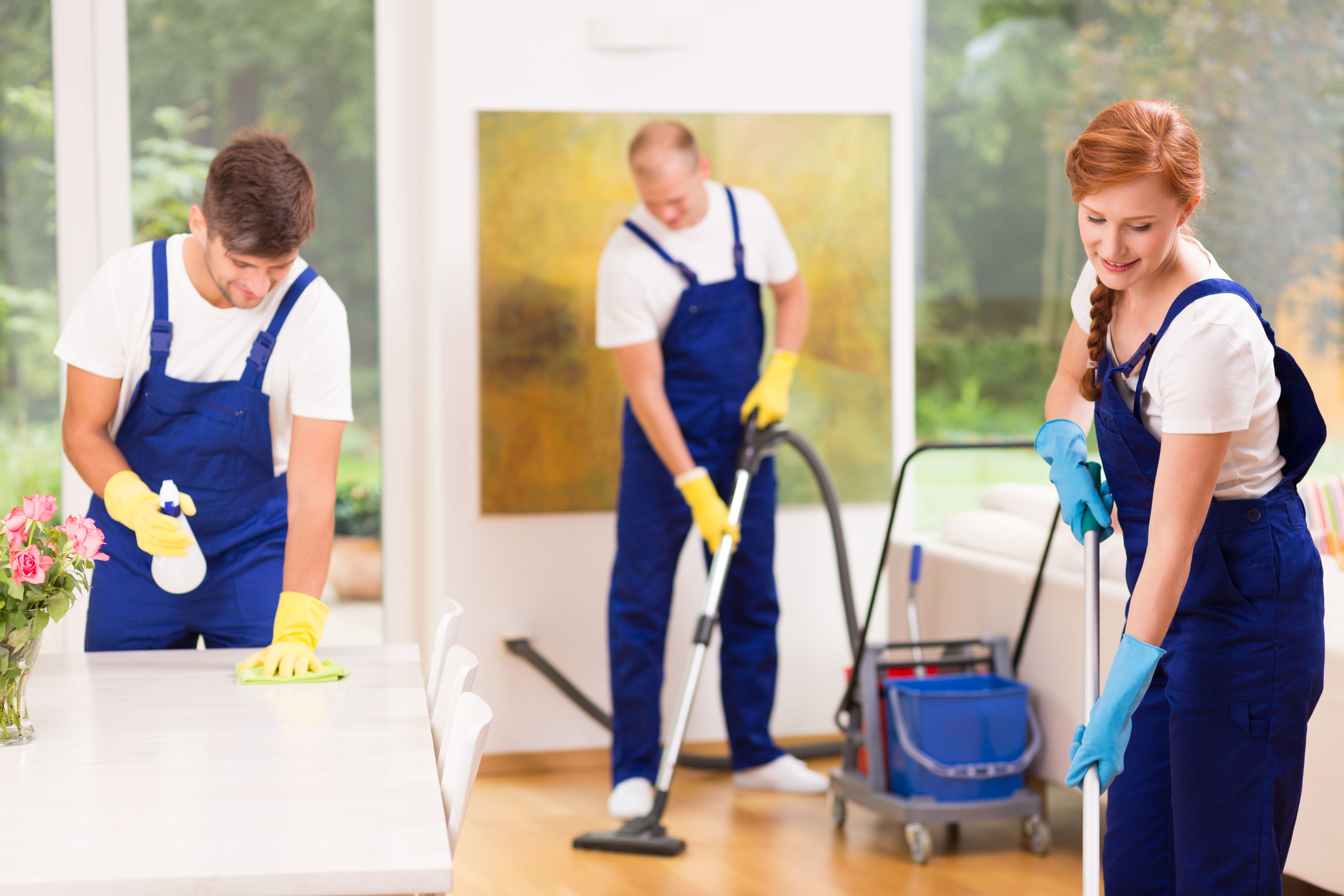 in-house vs professional cleaning