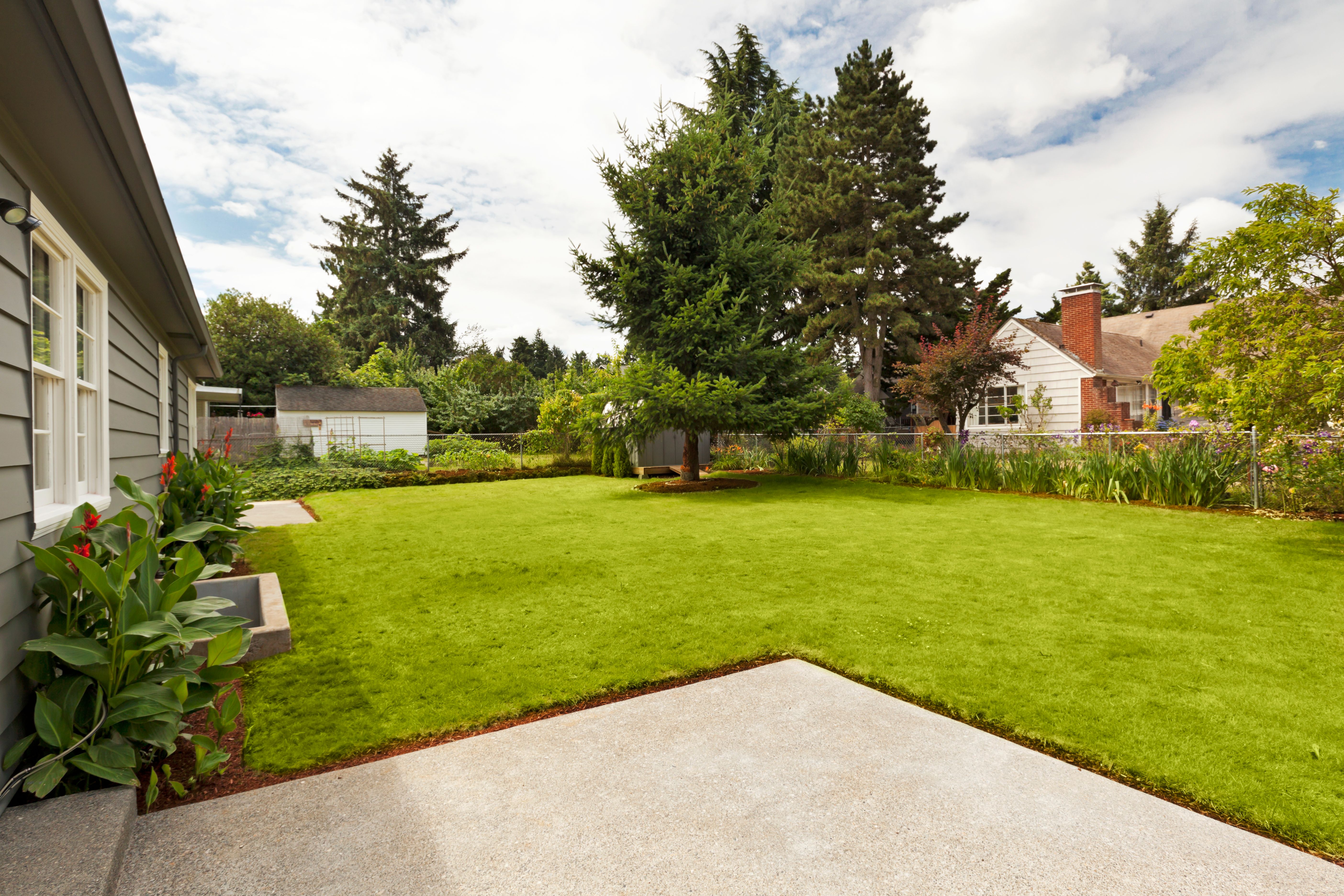 suburban home garden