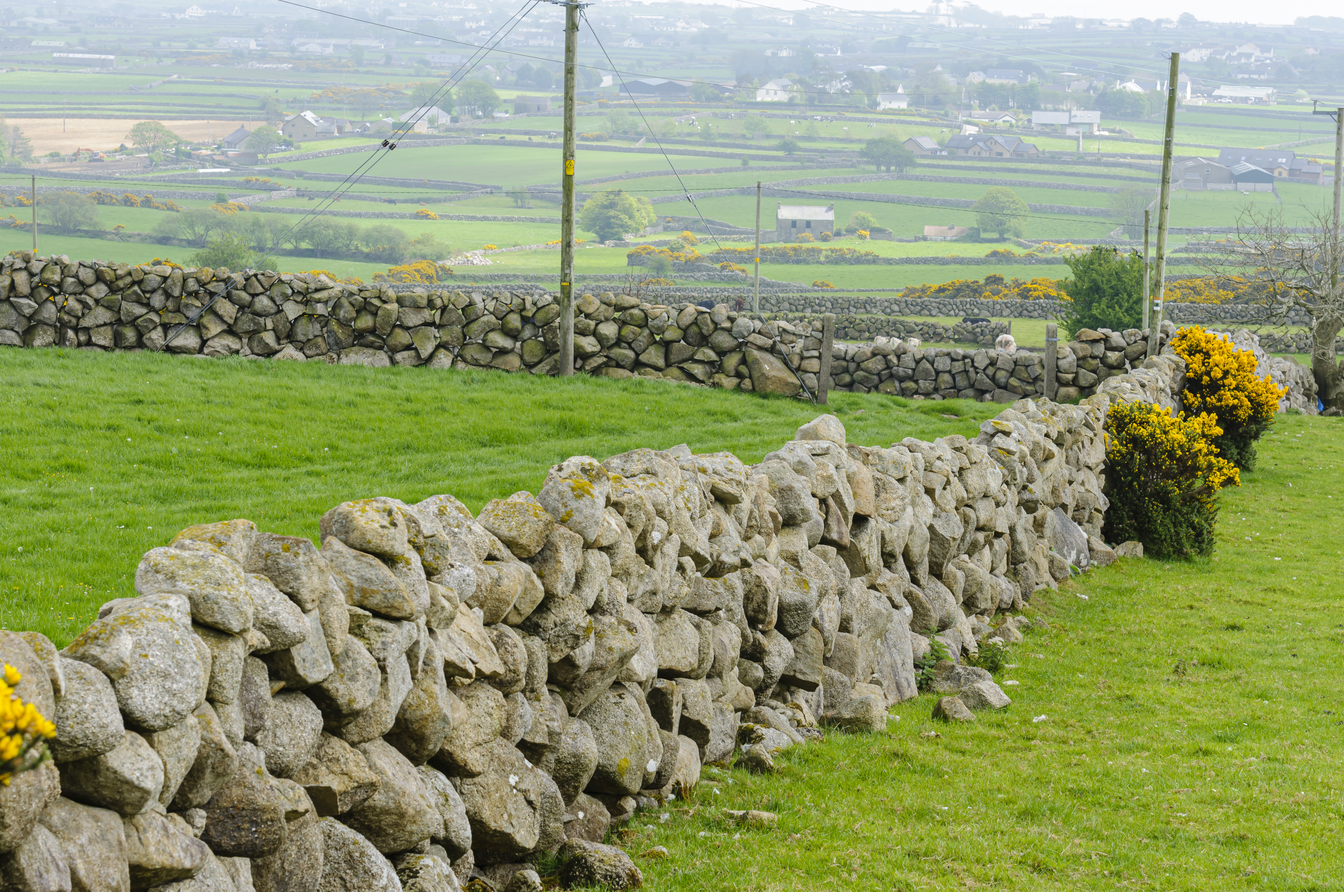 Traditional dry stone walls, common around the Mourne Mountains, Northern Ireland. Traditional dry stone walls, common around the Mourne Mountains, Northern Ireland.