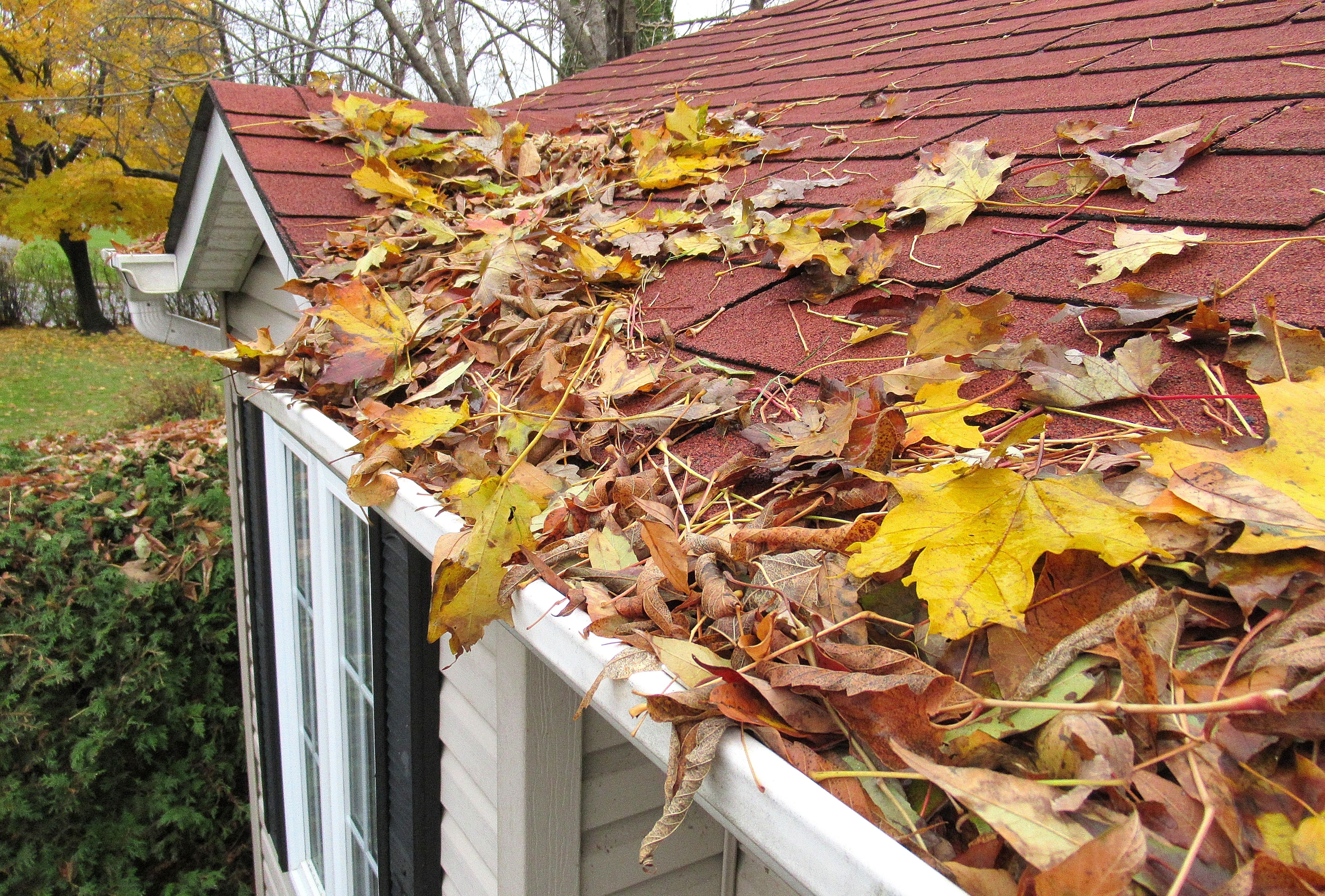 fall roof