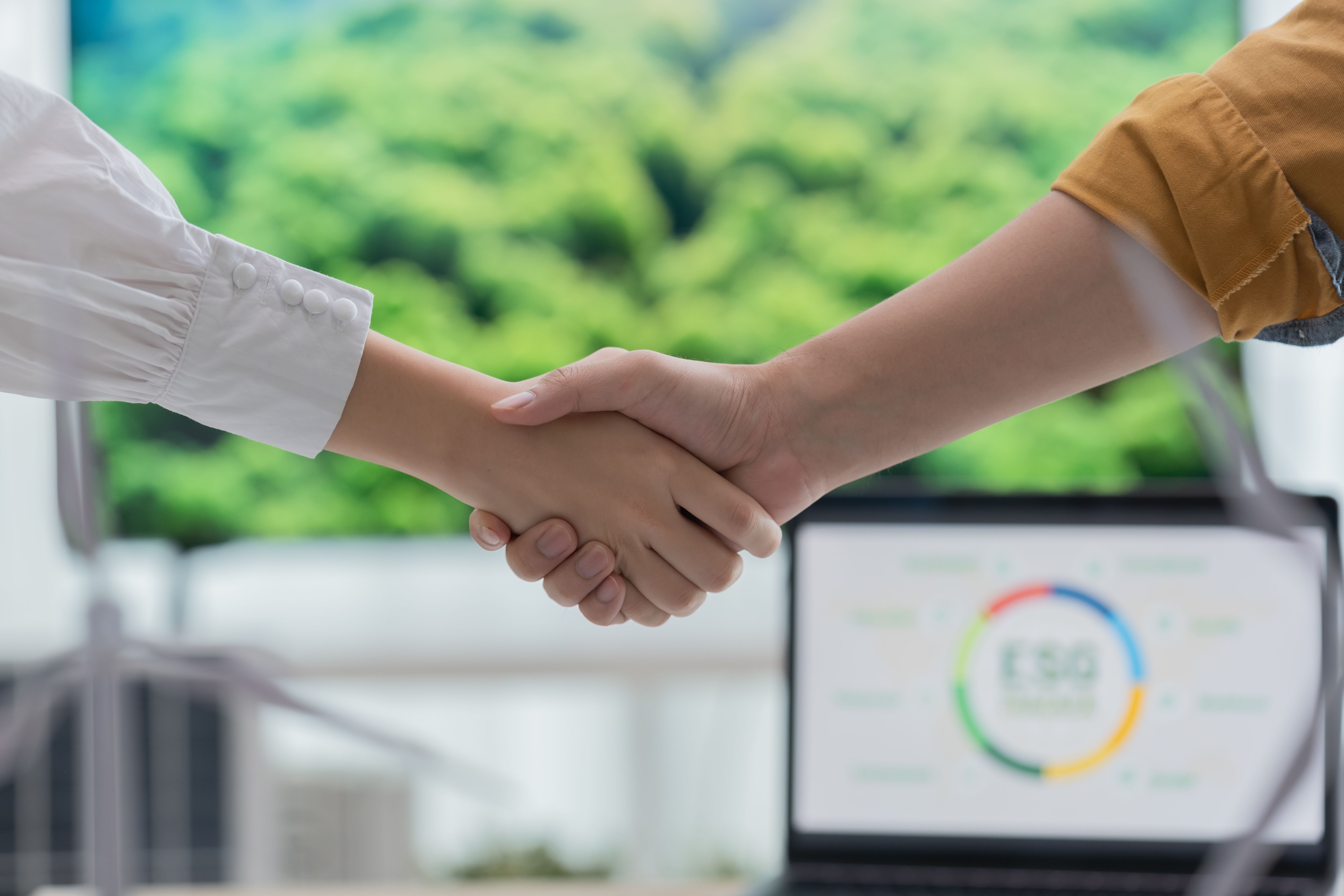 sustainable business