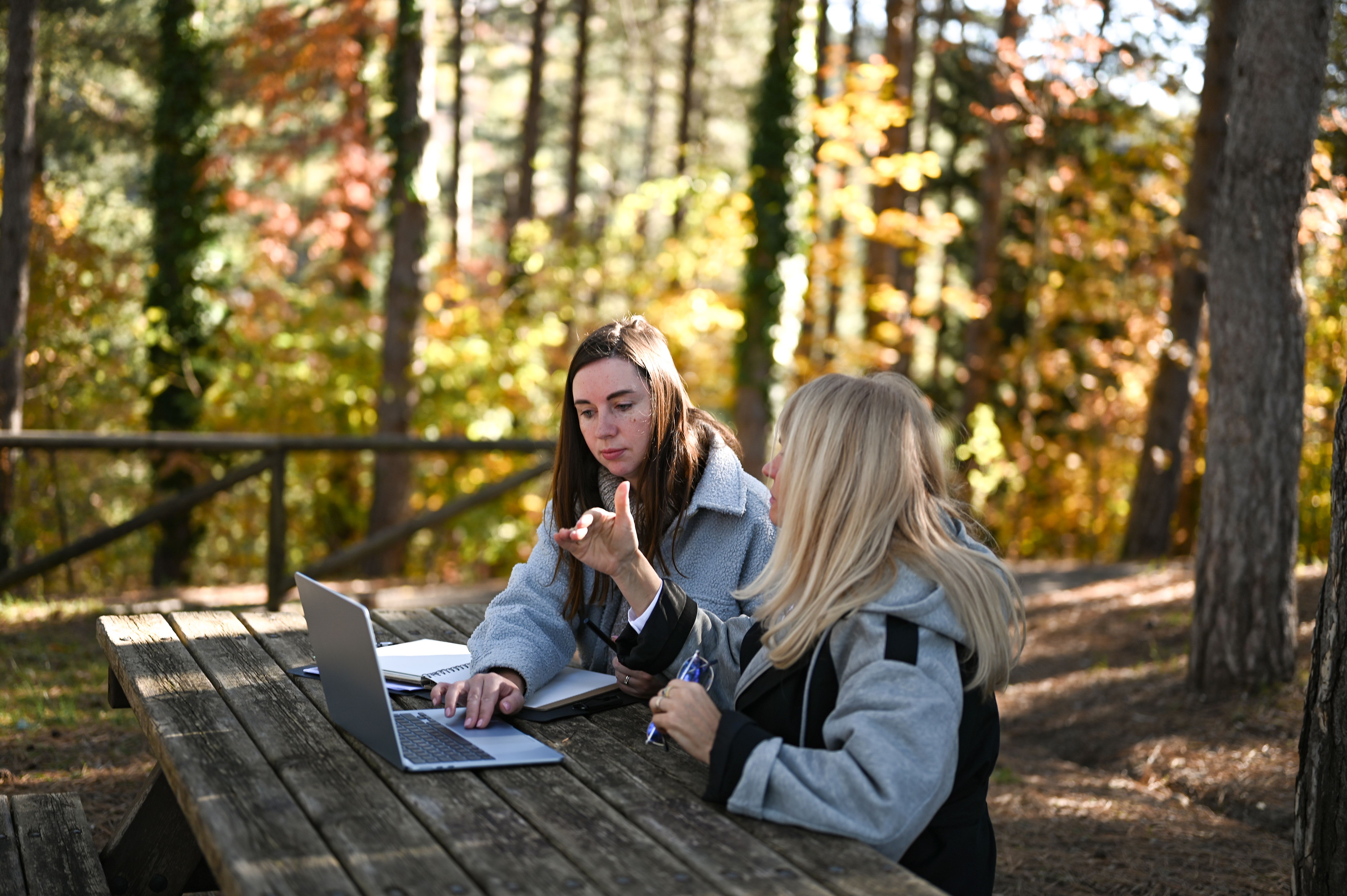 researching local companies