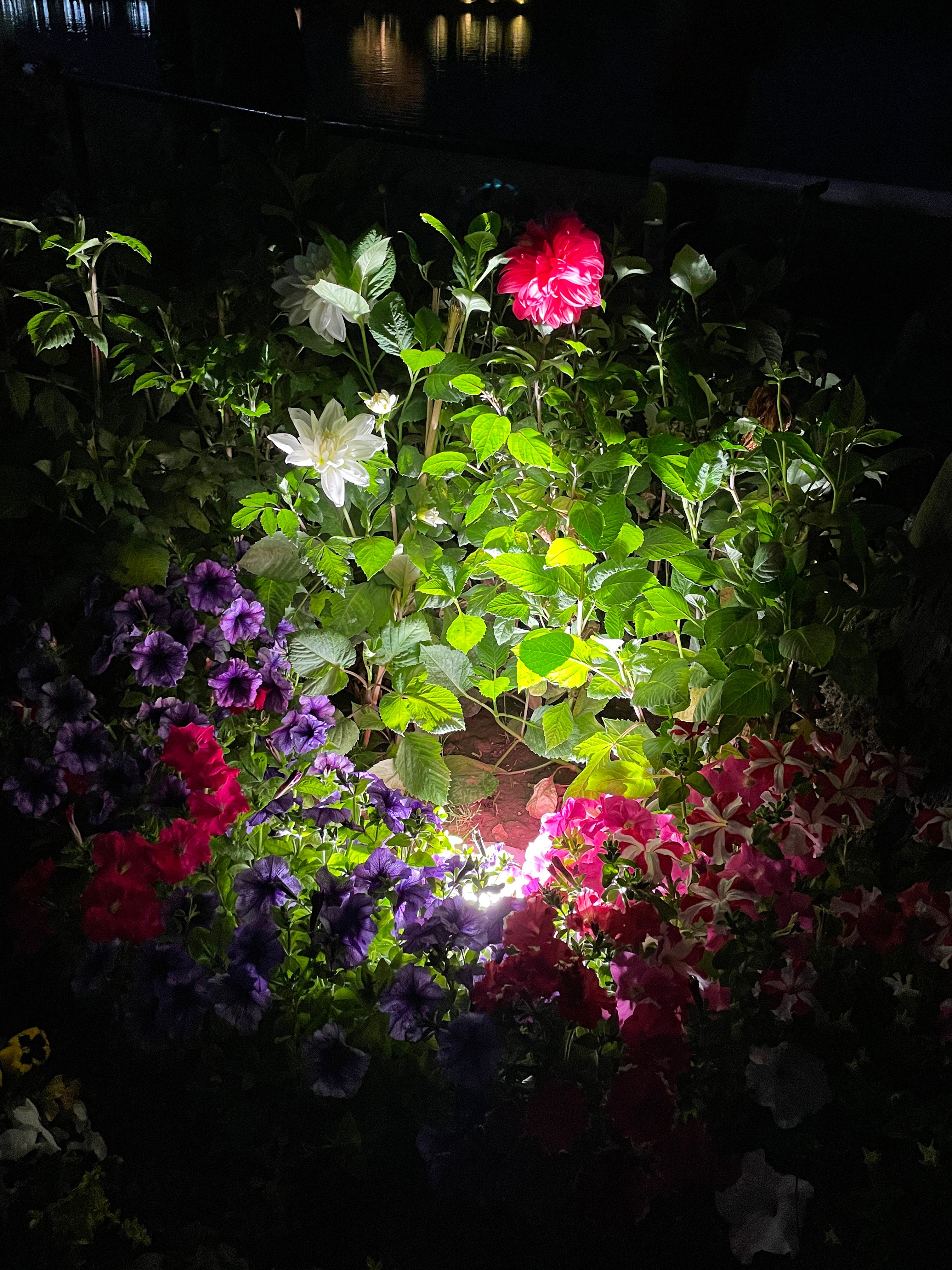 garden spotlights