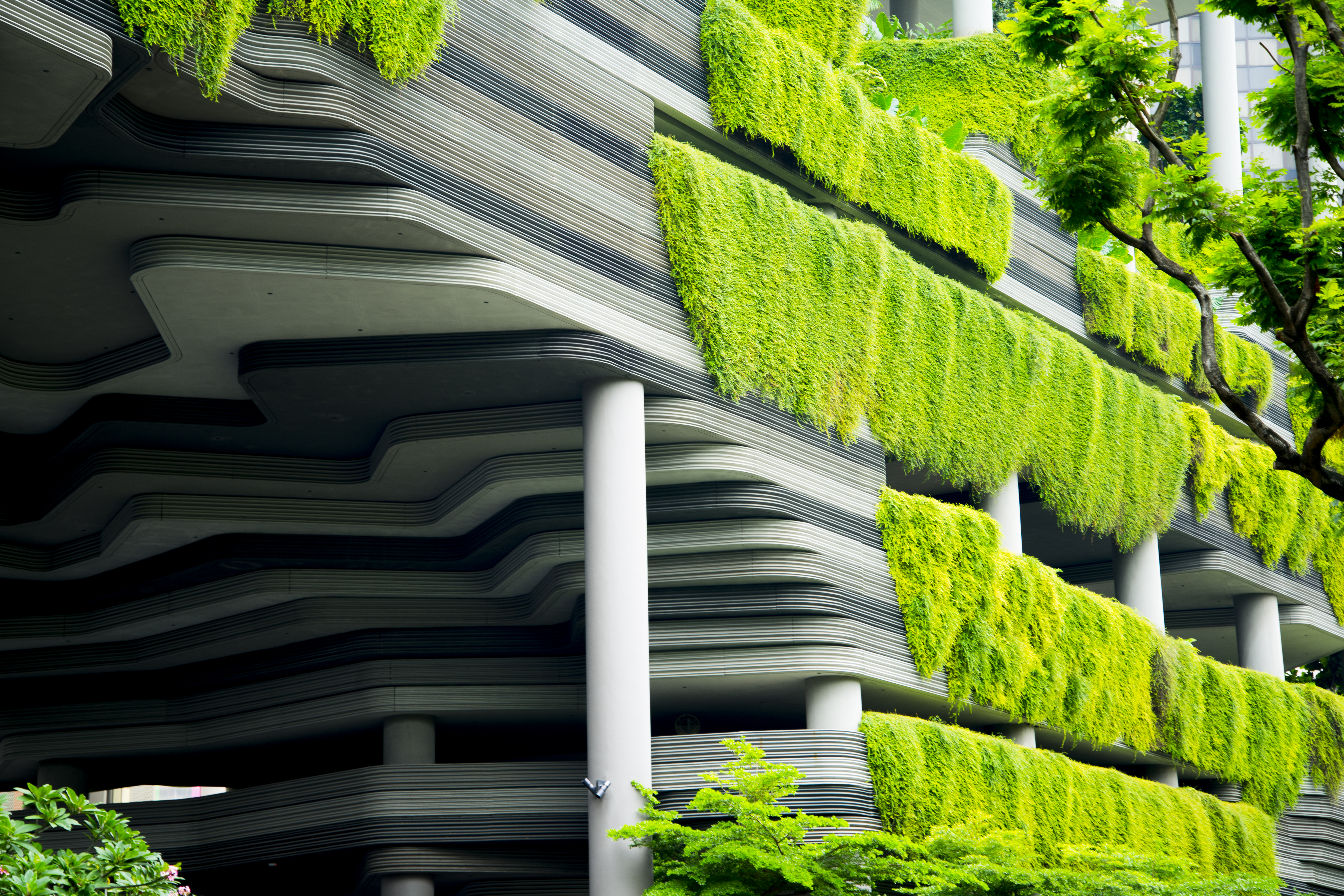 Green Eco Building