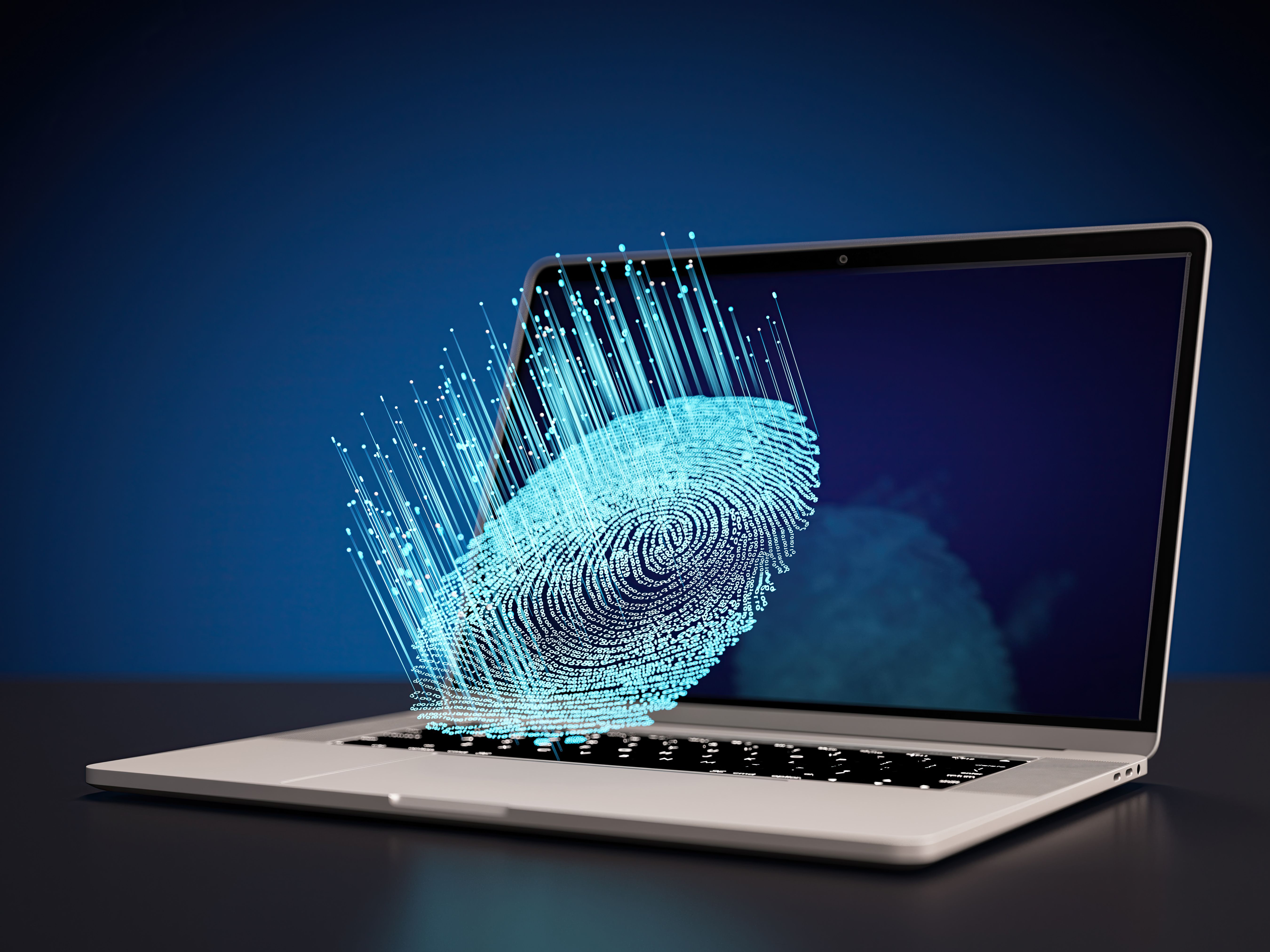 employment verification