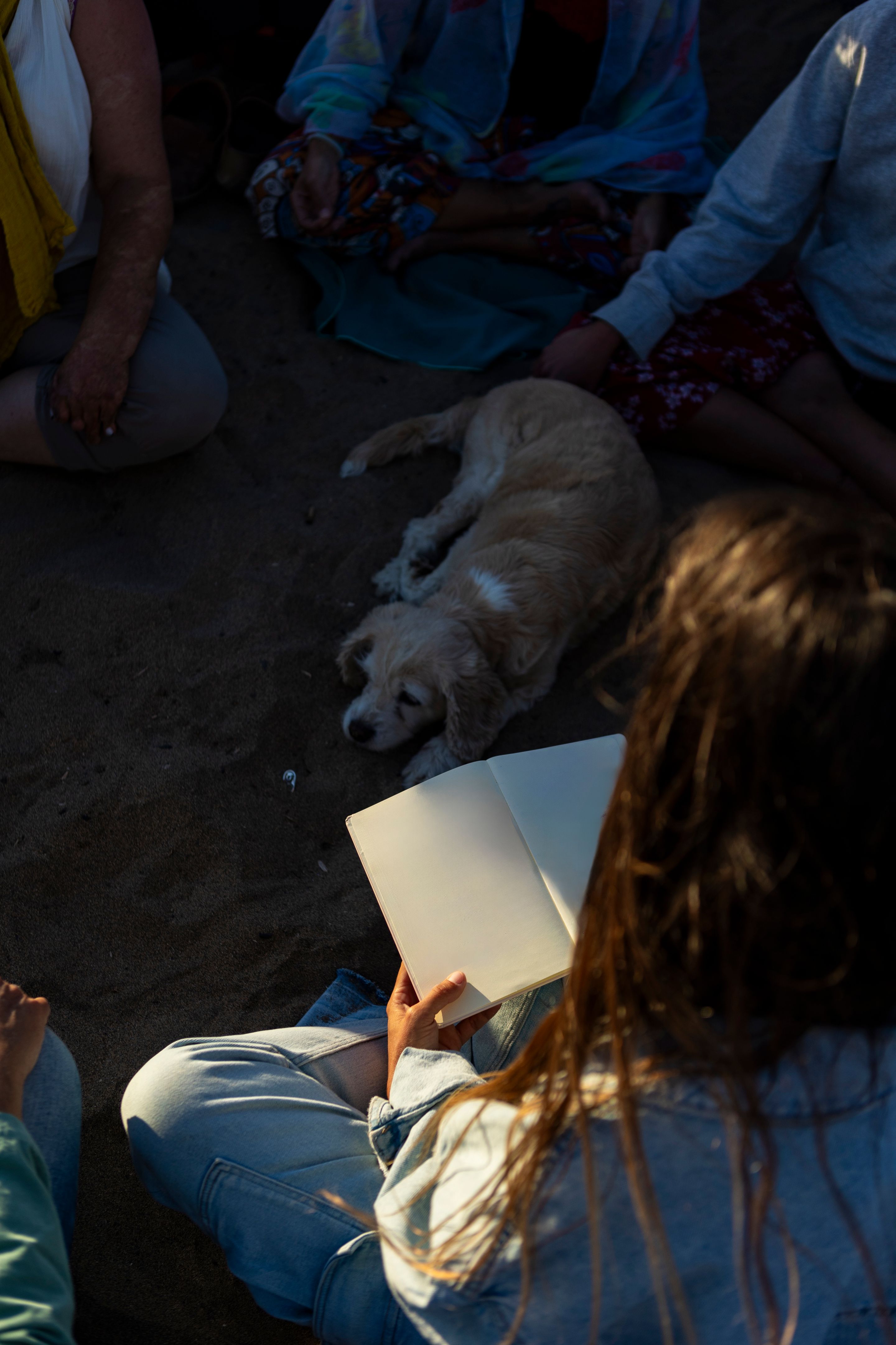 martial arts schedule