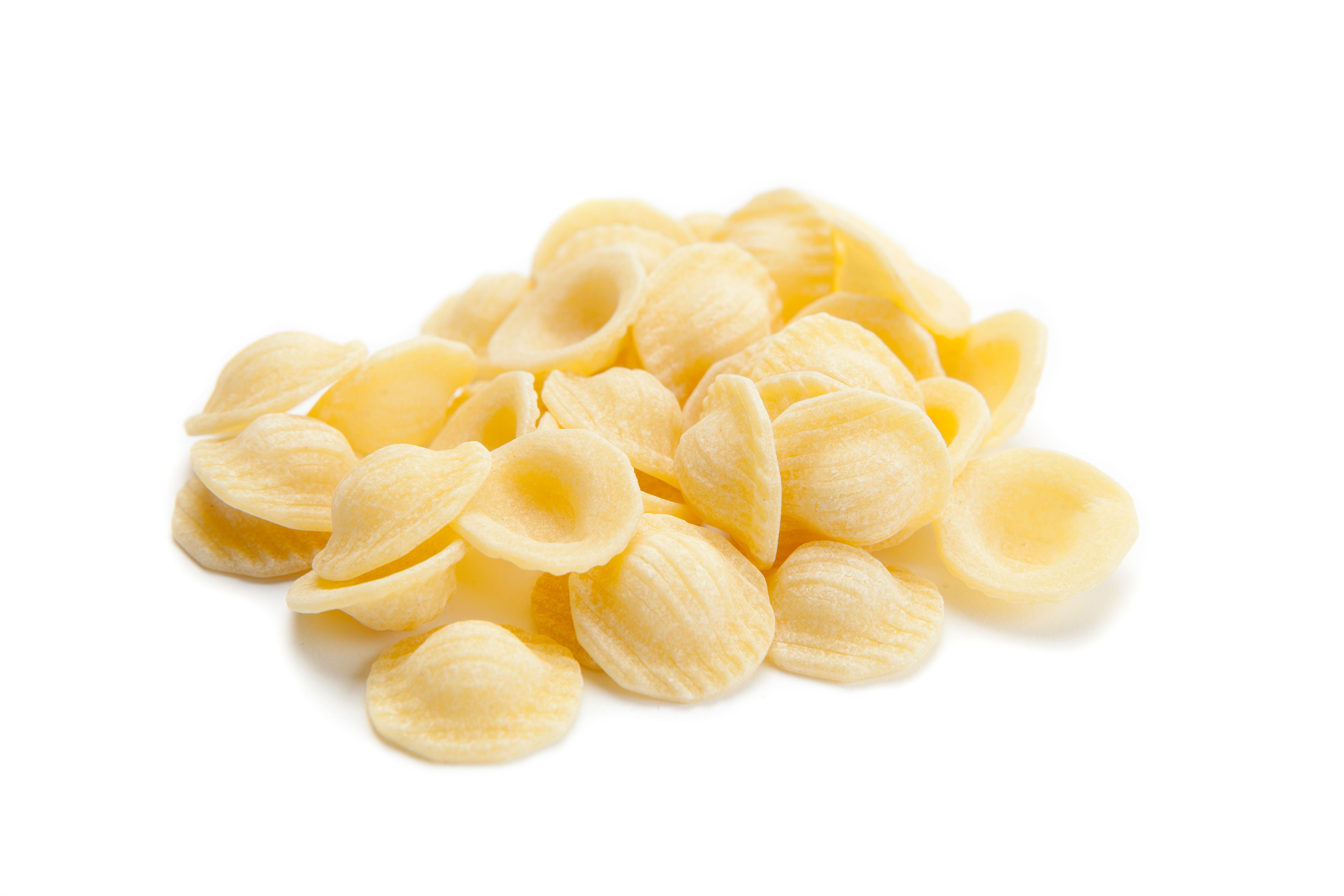 fresh vs dried pasta