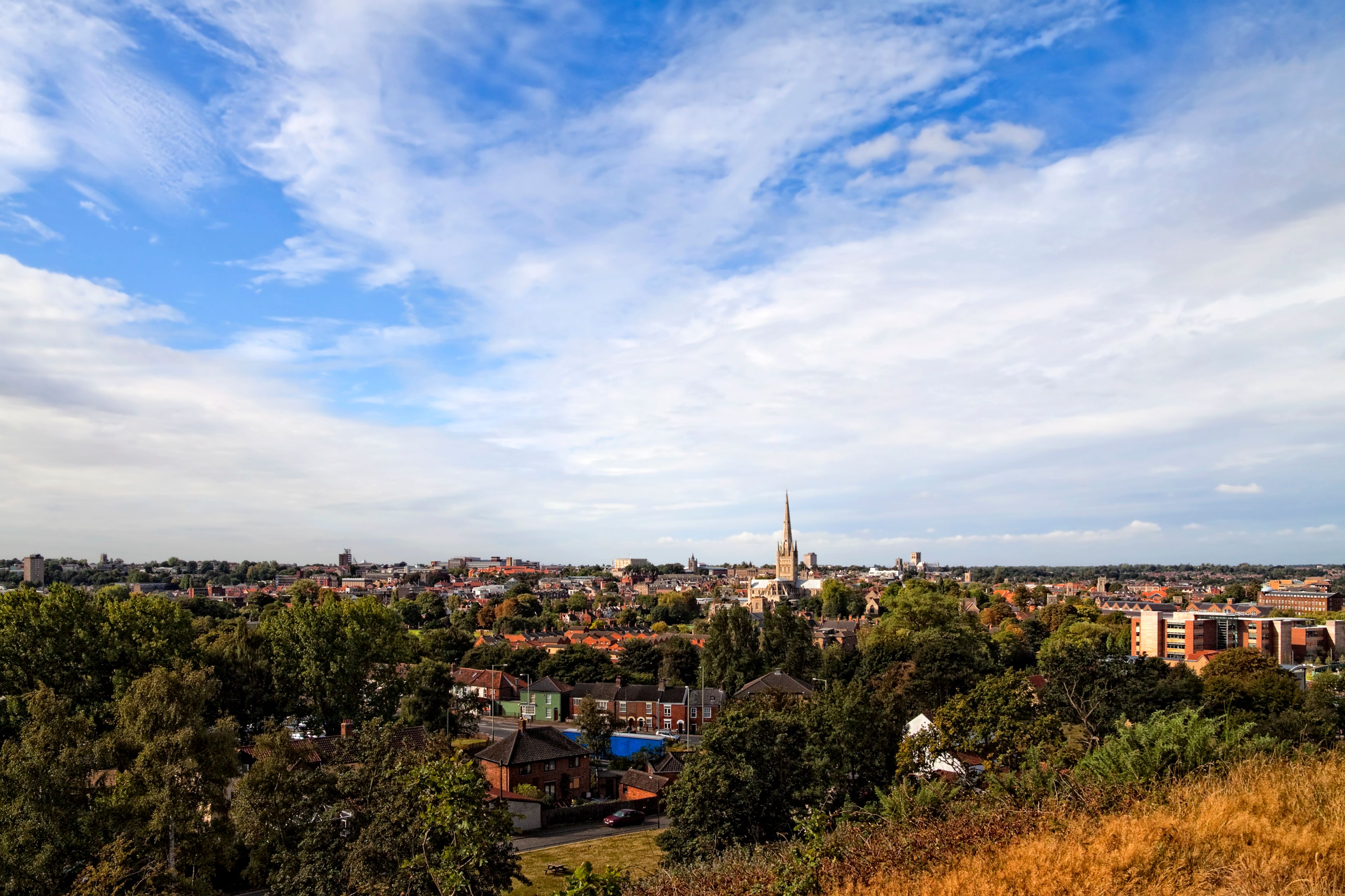 Norwich from Mousehold Heath