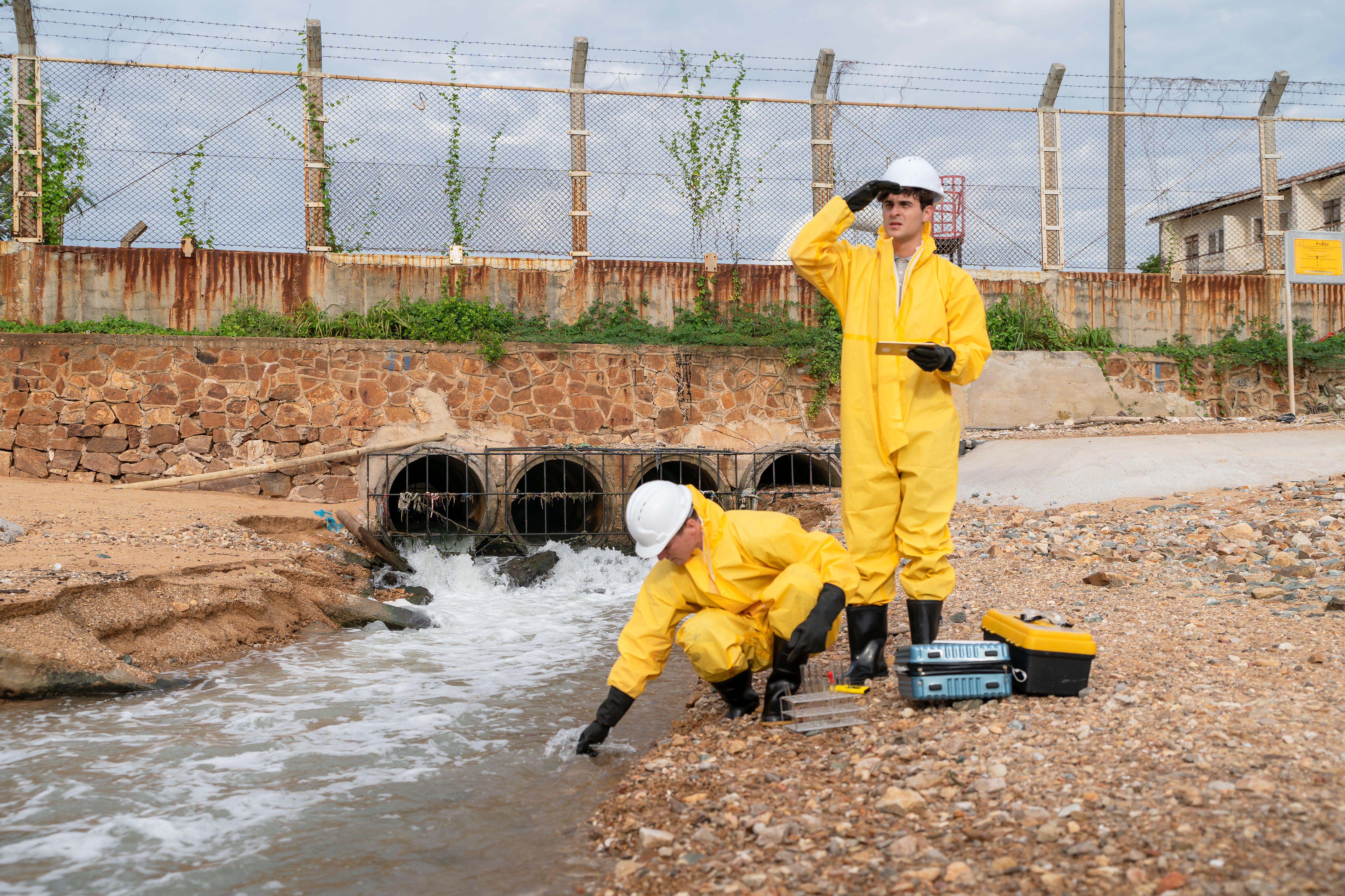 environmental stewardship