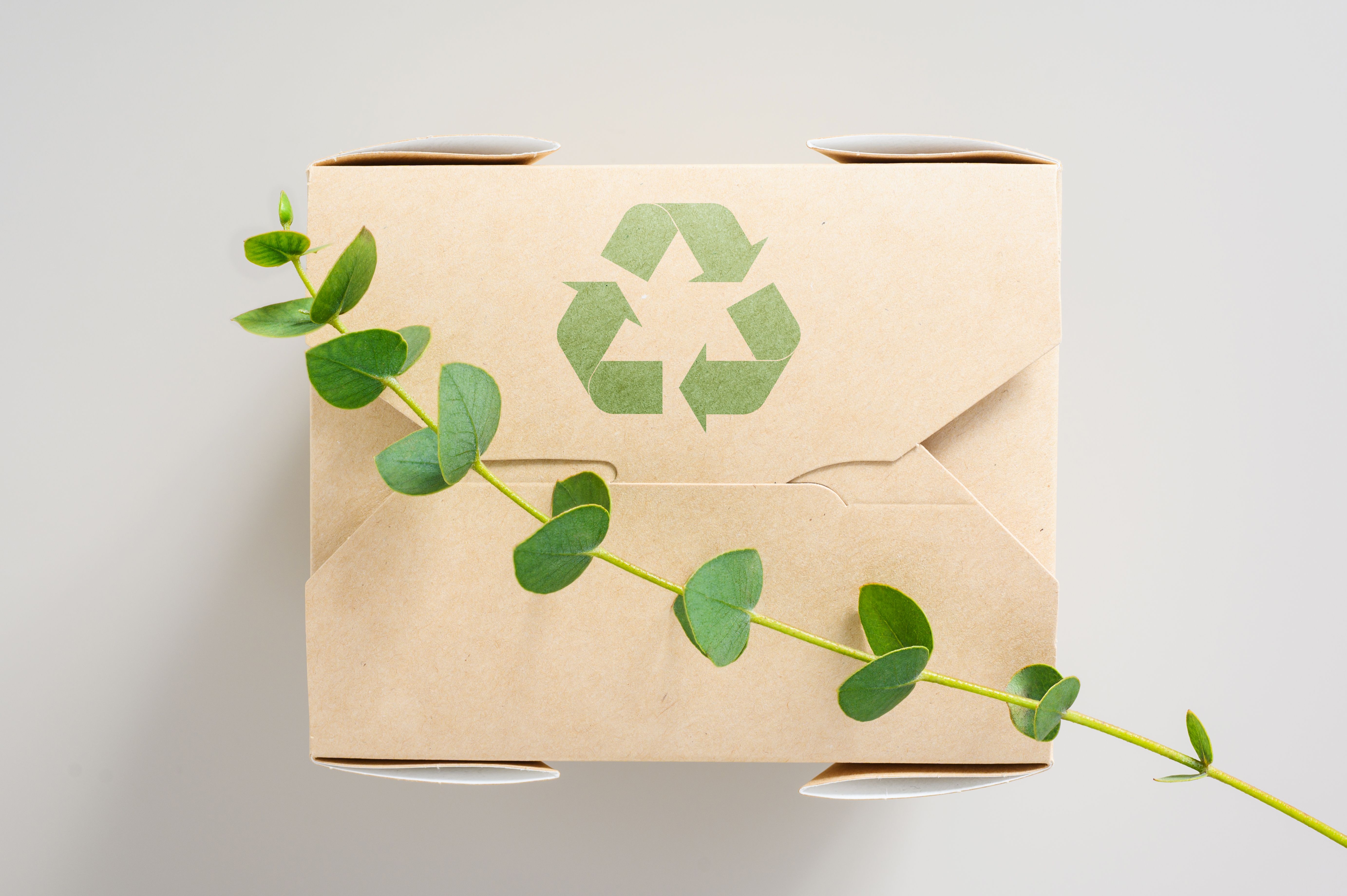 sustainable paper packaging