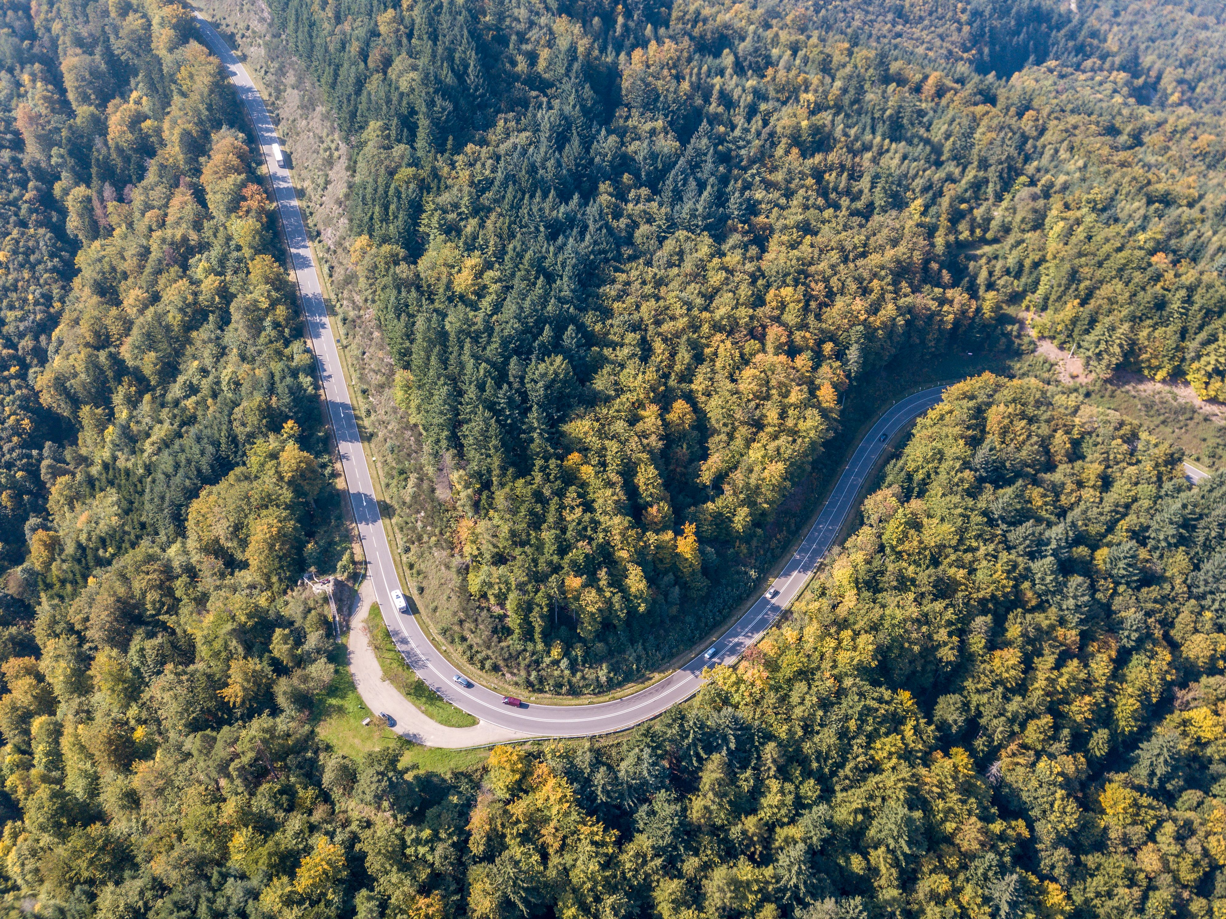 black forest road