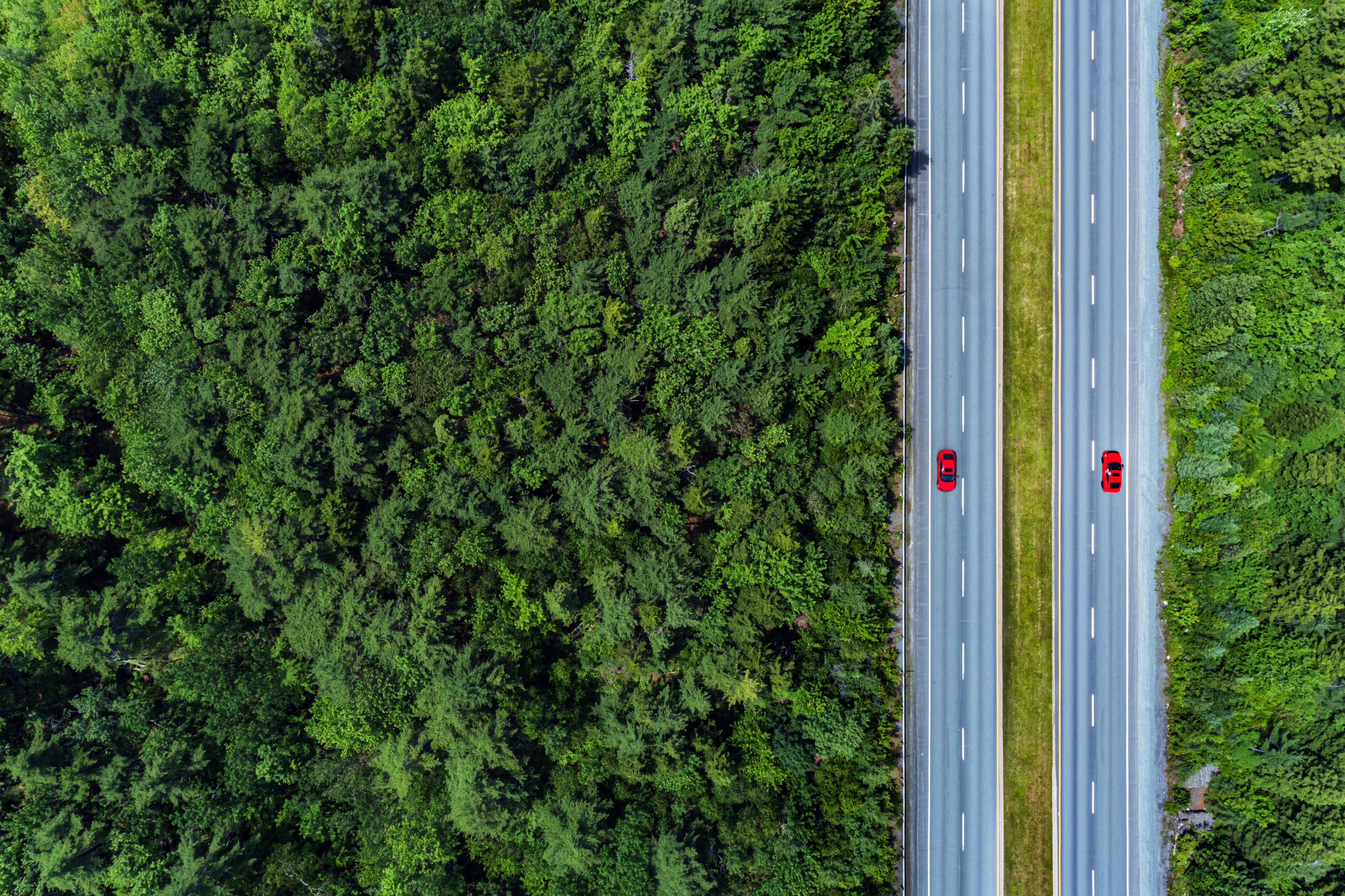 road traffic
