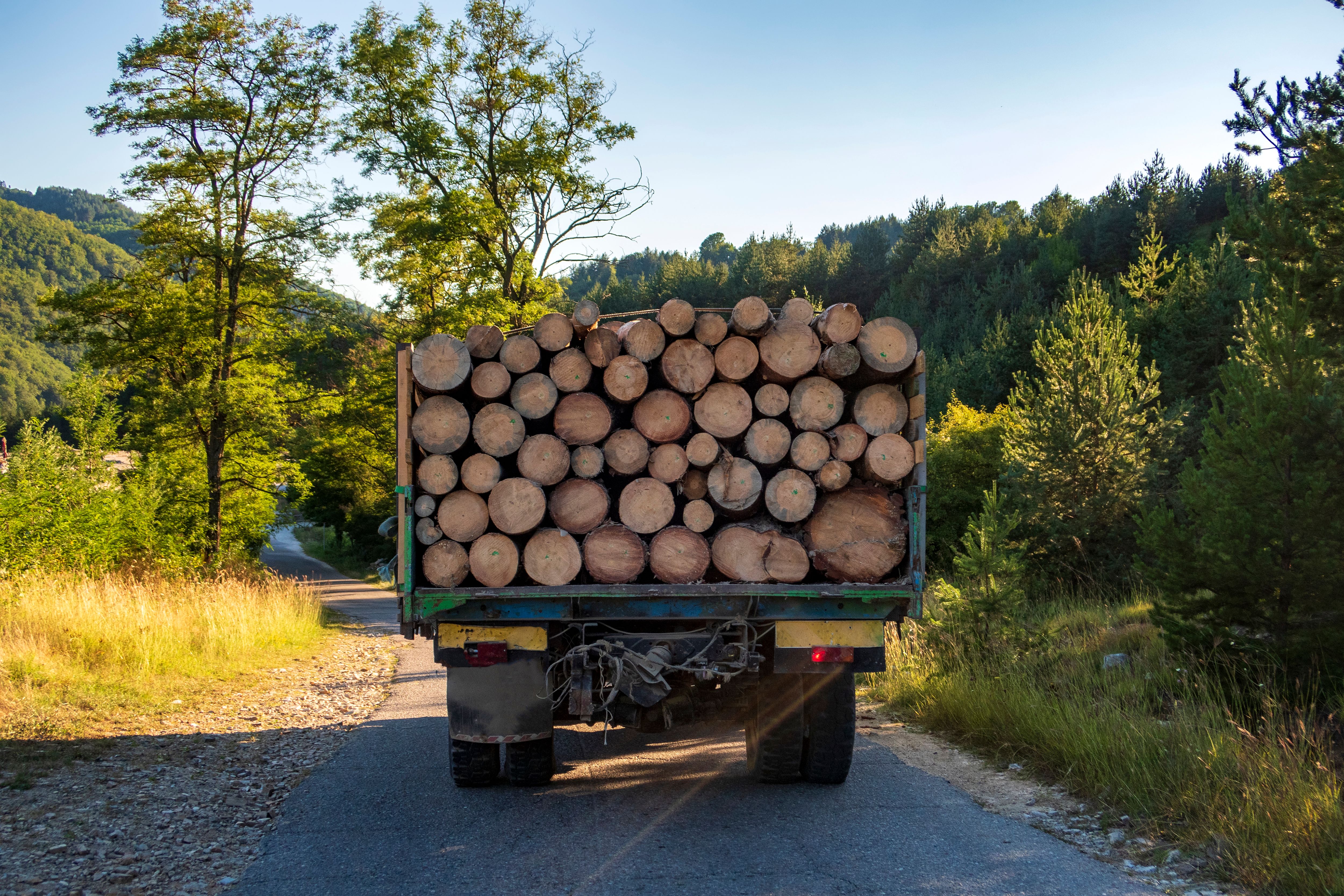 The truck transports logs