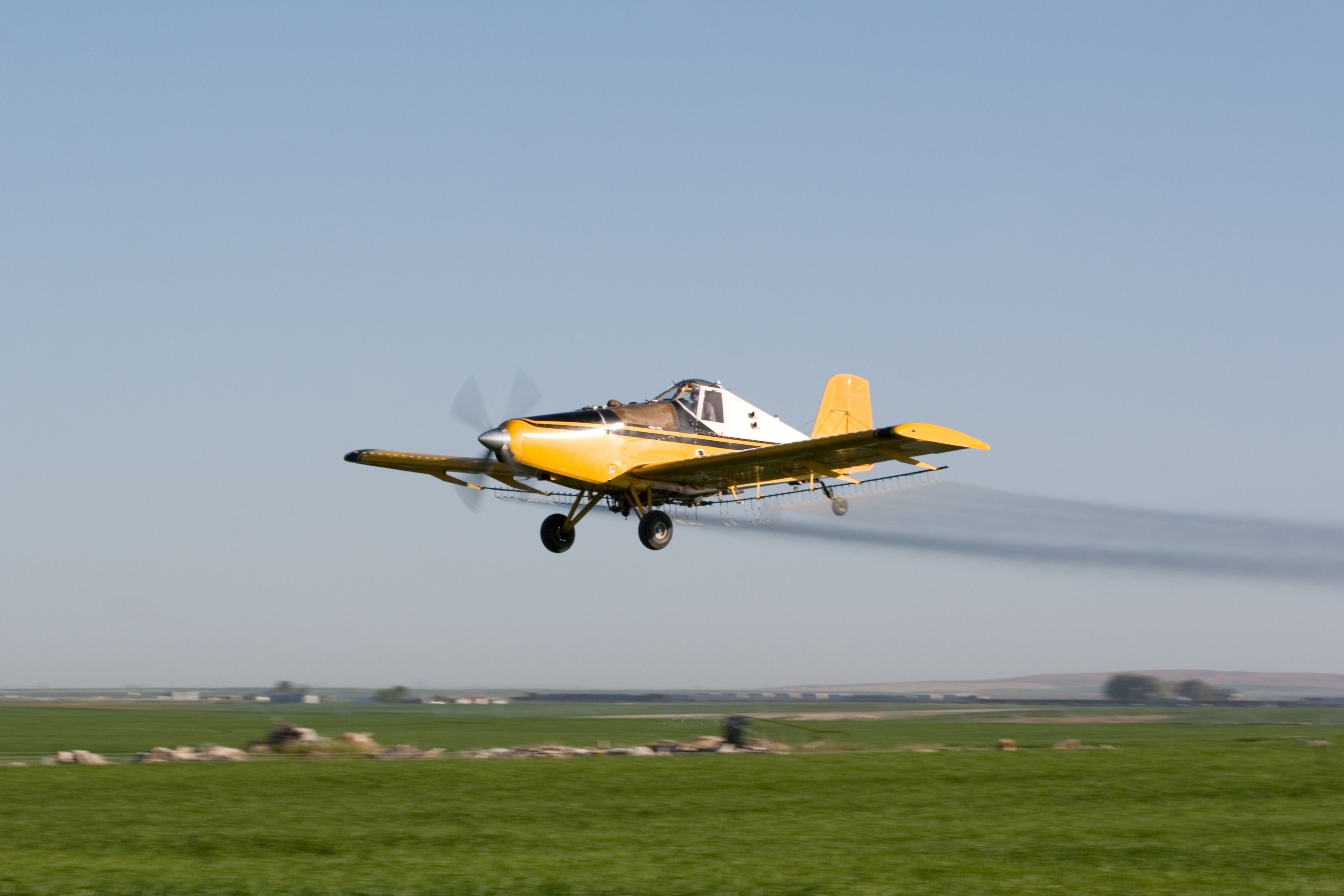 experienced pest control