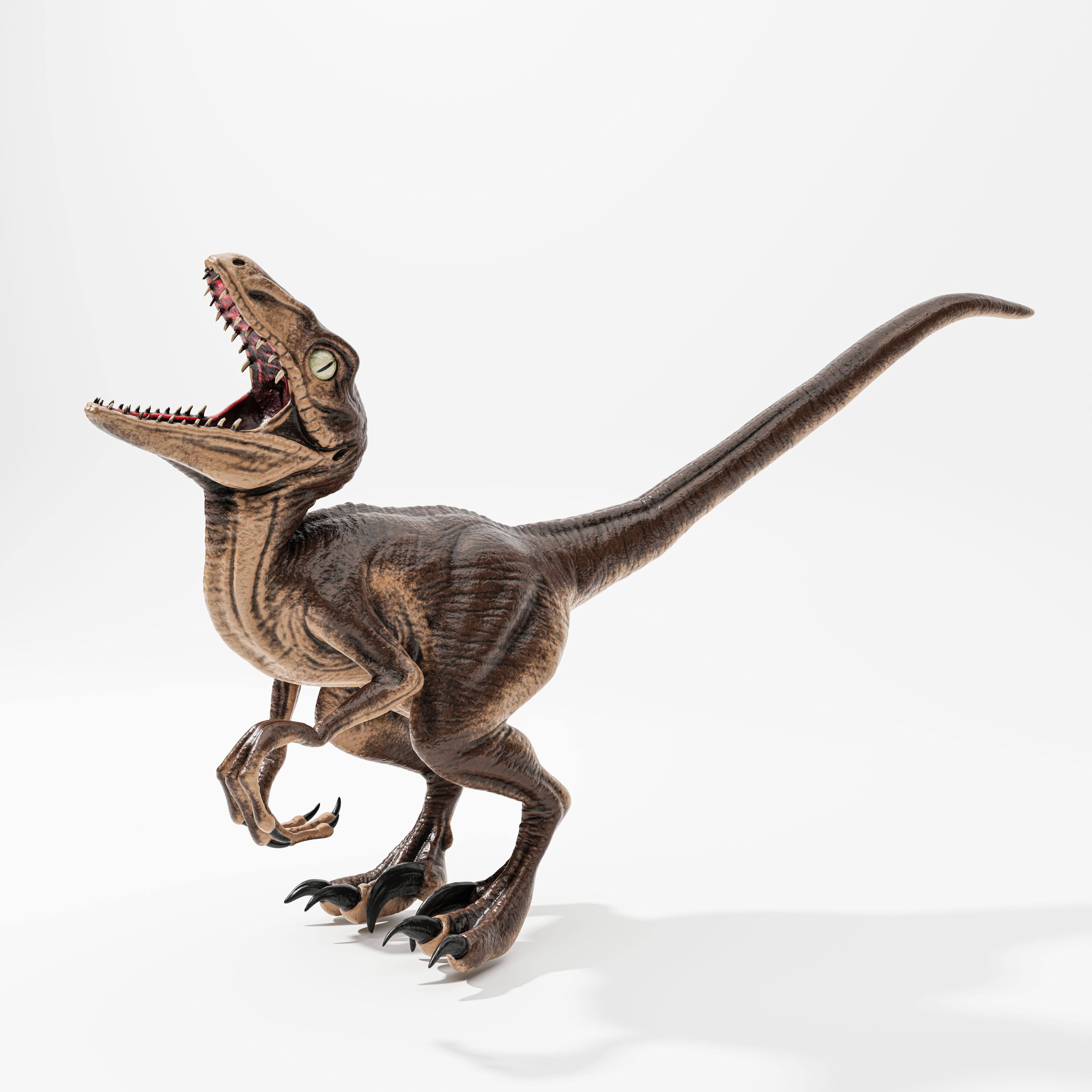 velociraptor isolated on white
