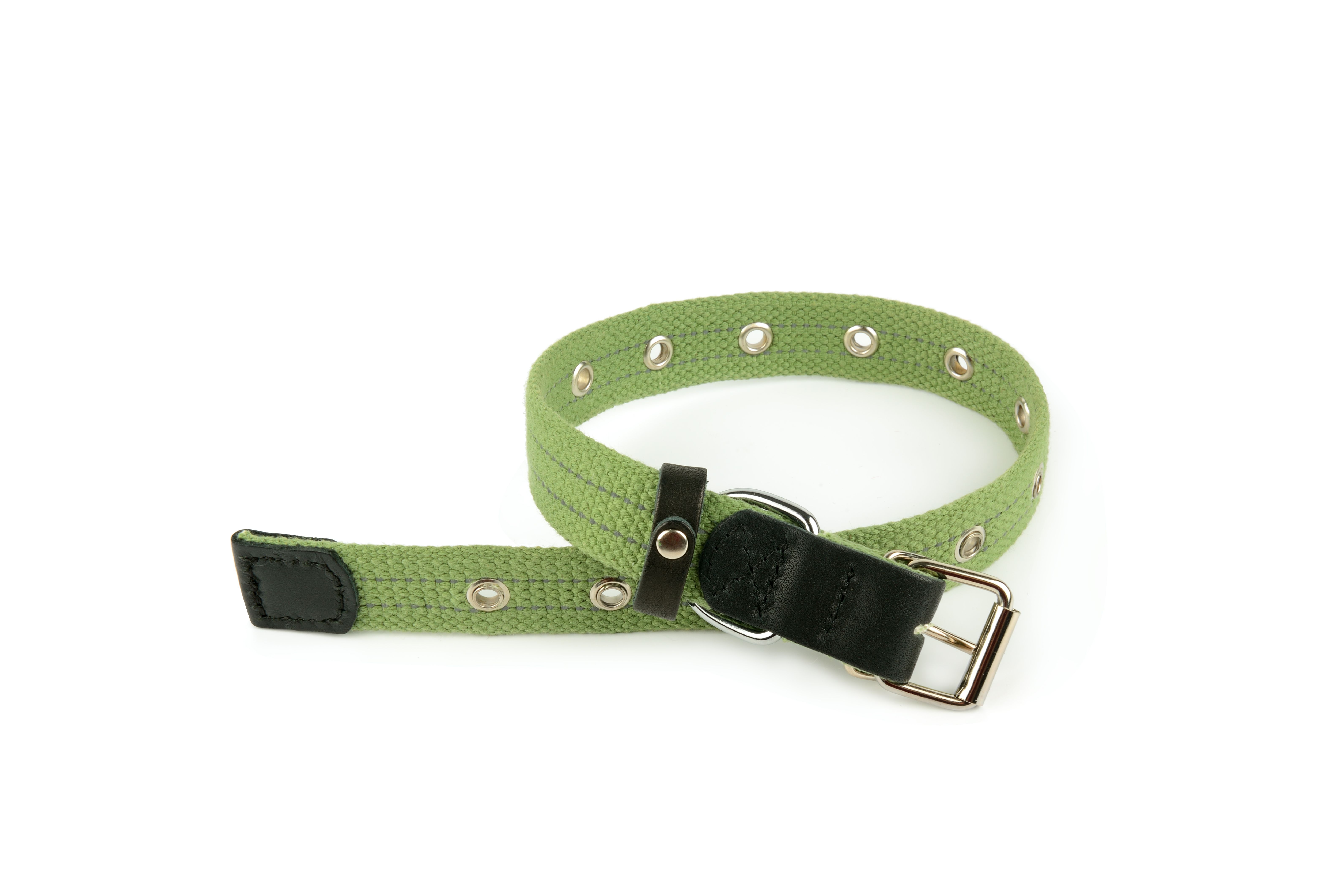 dog collar durability
