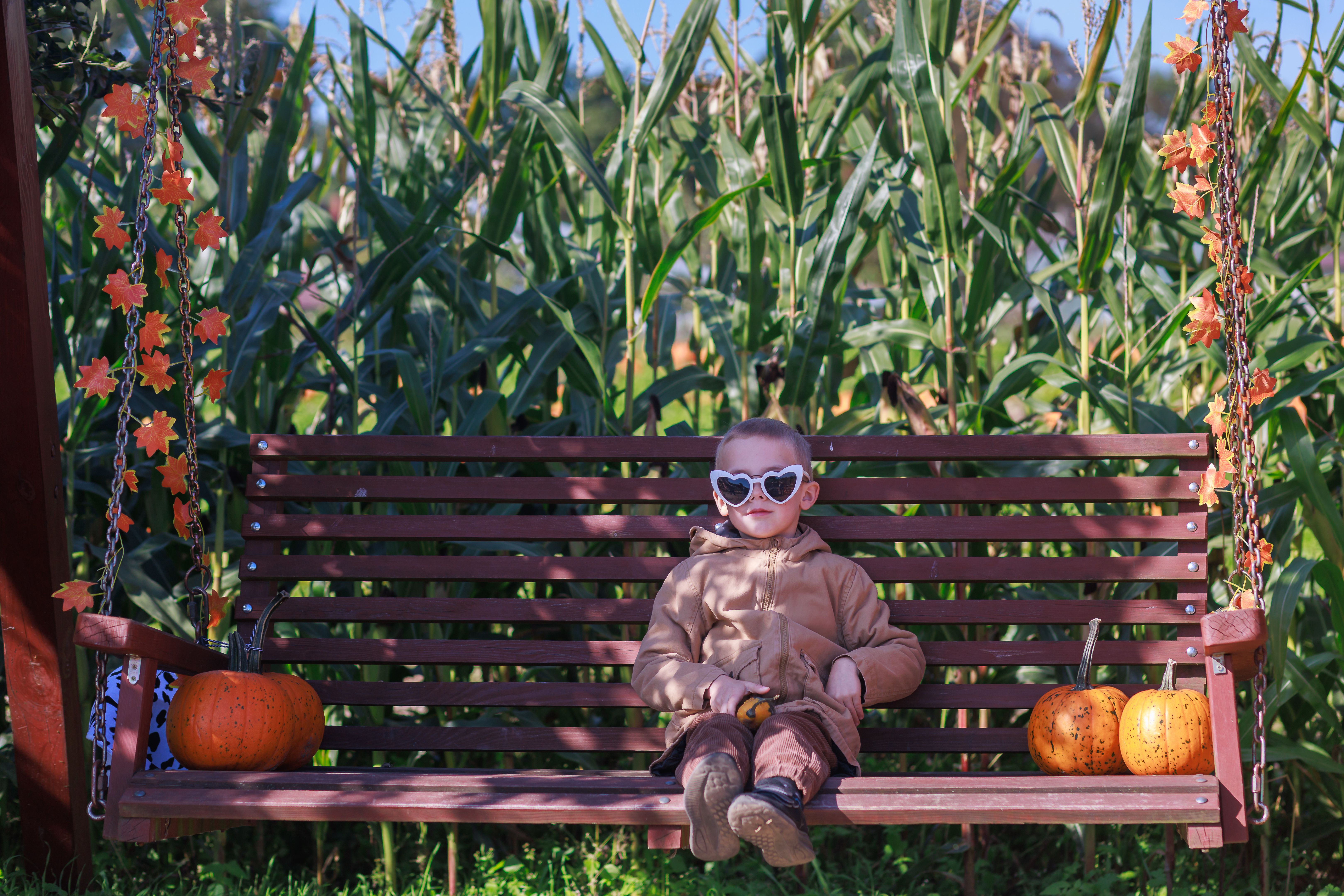 autumn harvest science