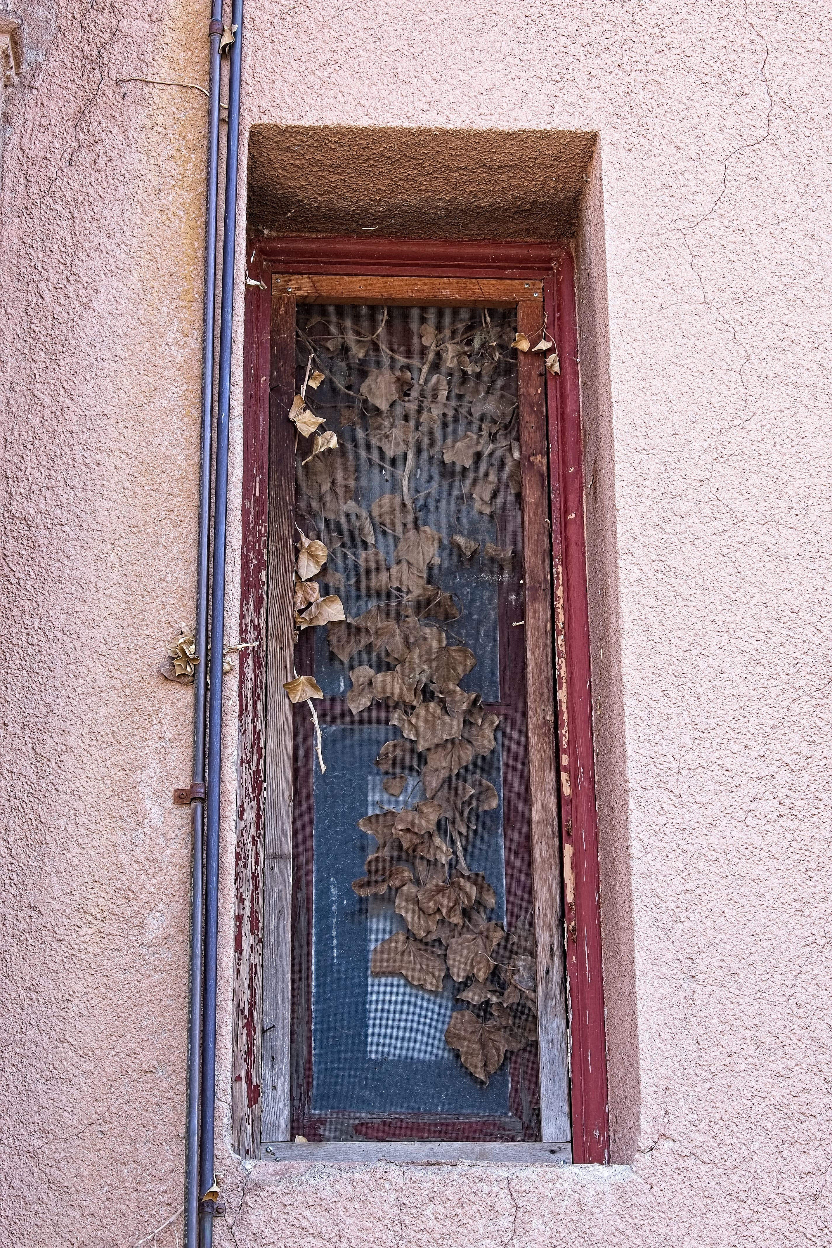 fenêtres écologiques