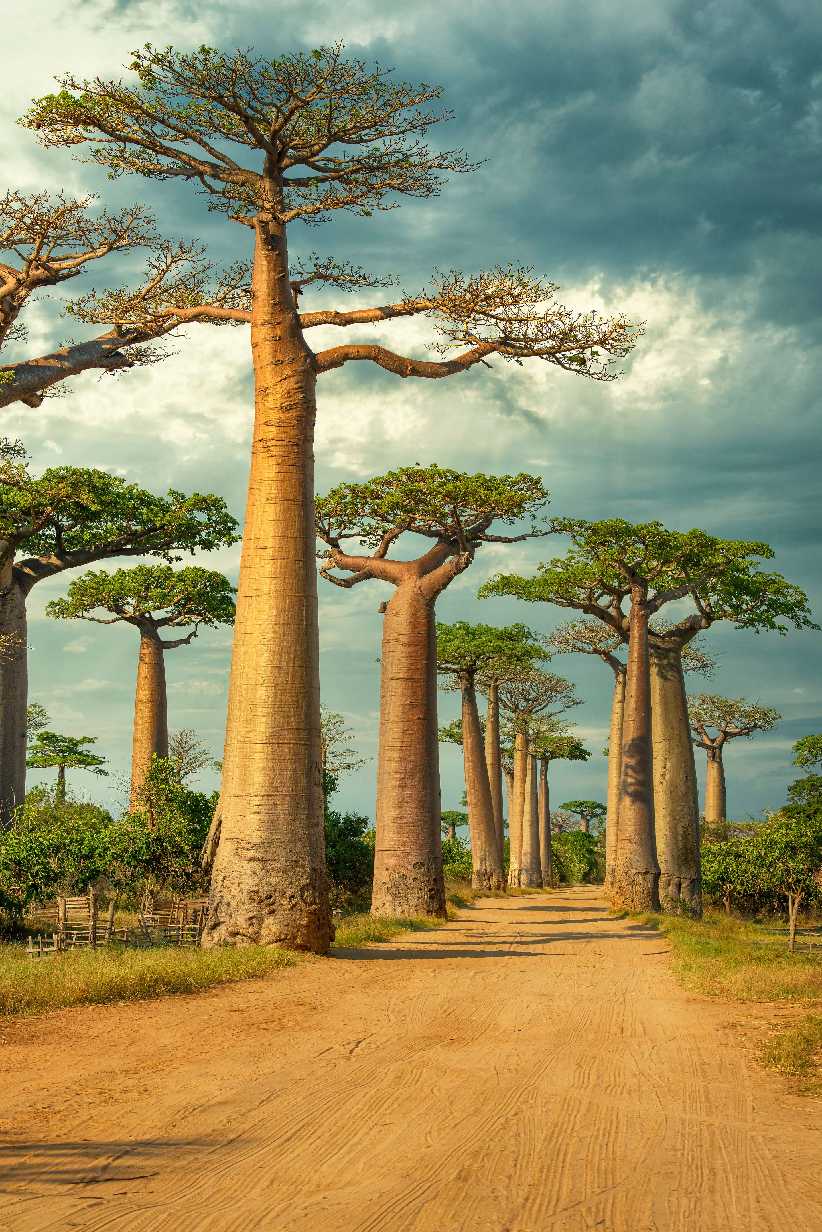 madagascar landscape