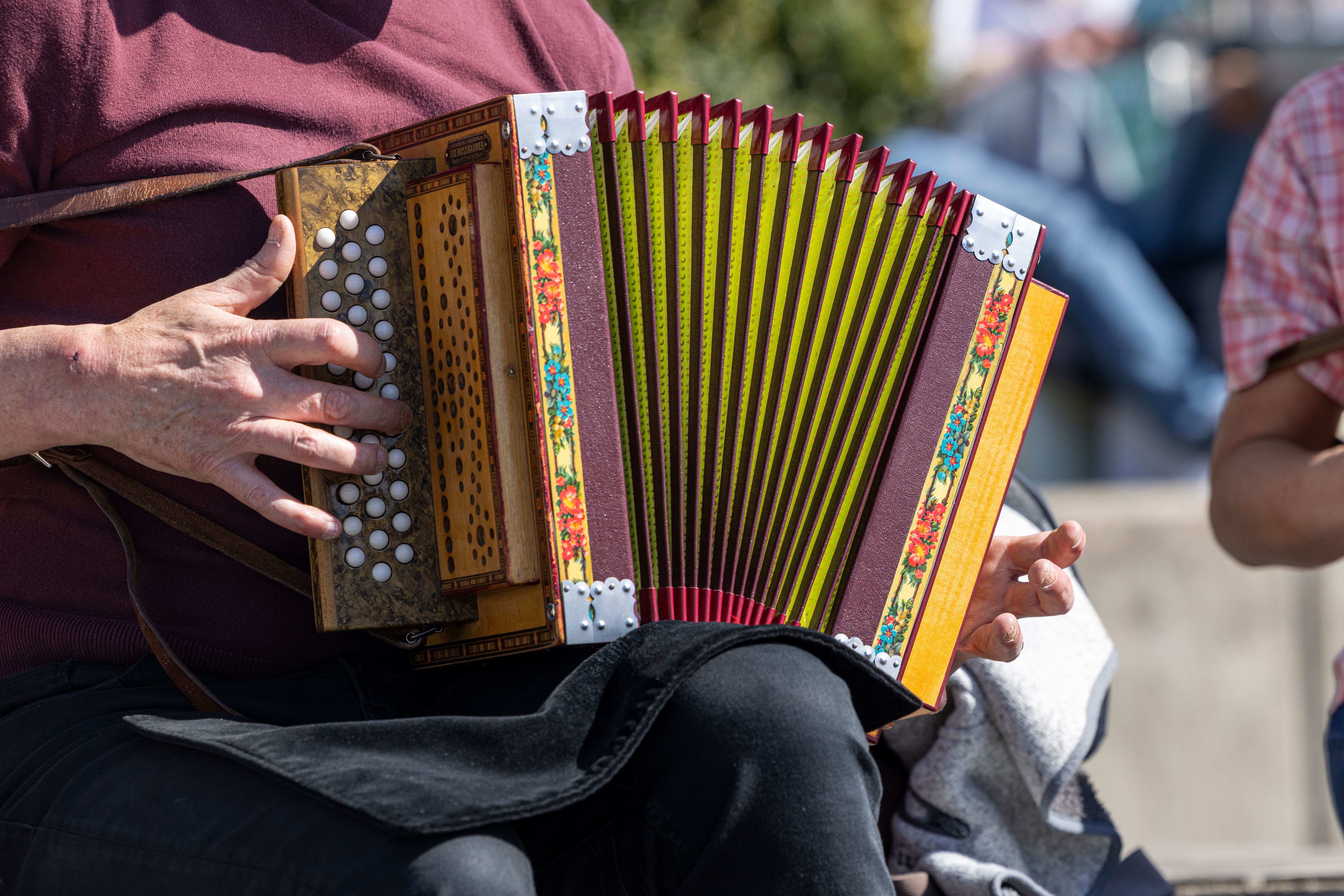 accordion player