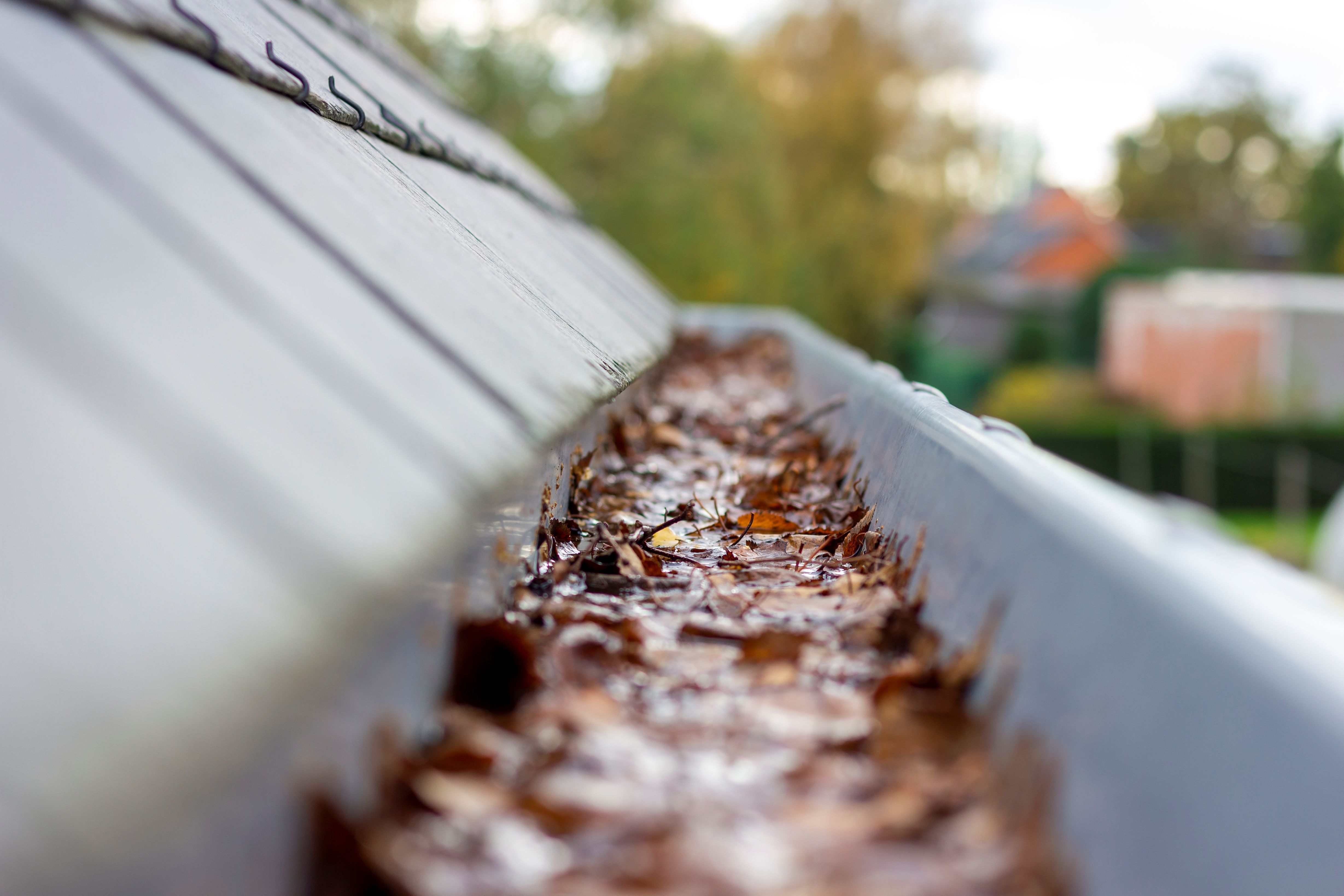 rusty gutters
