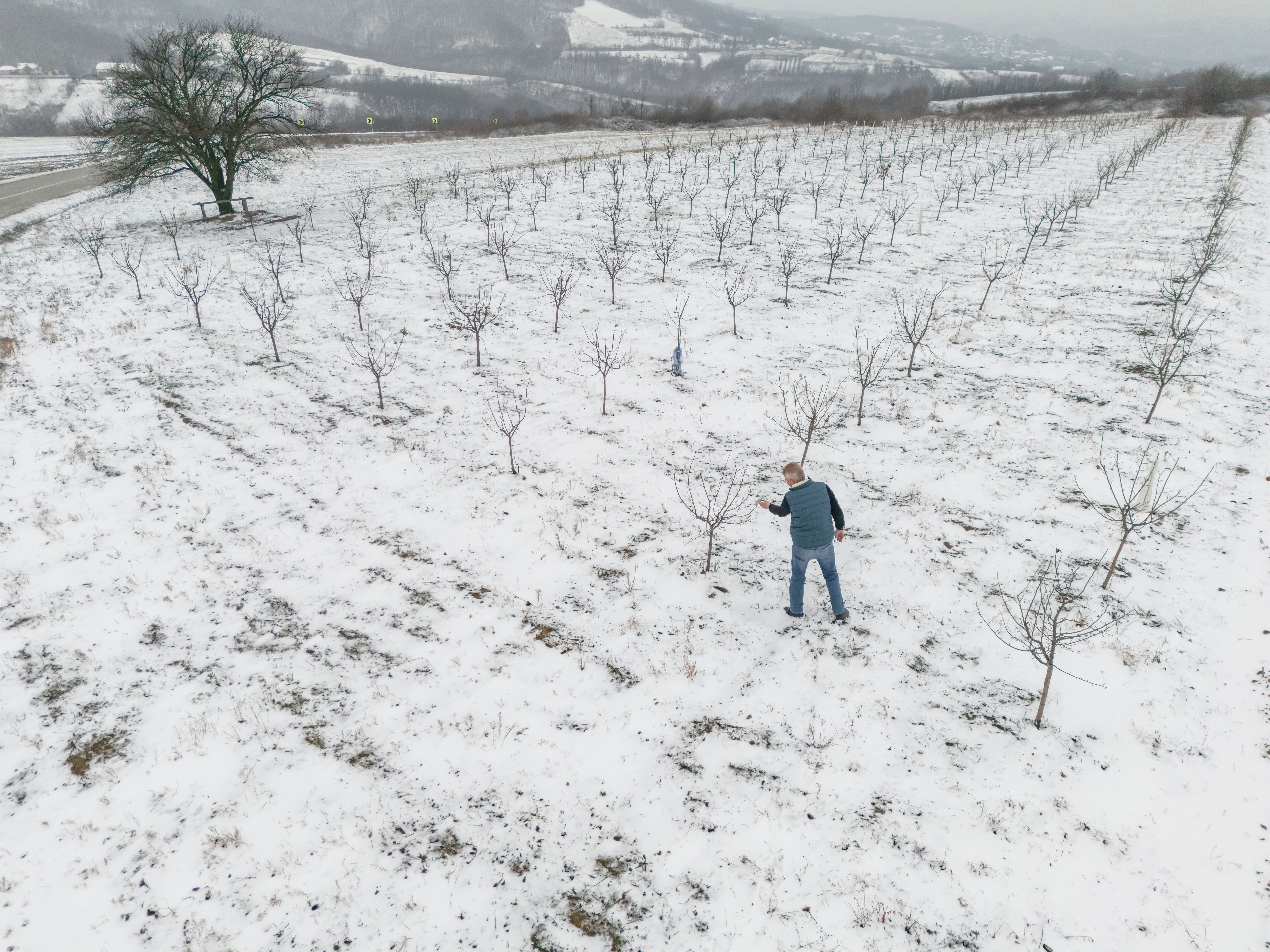 winter landscape inspection