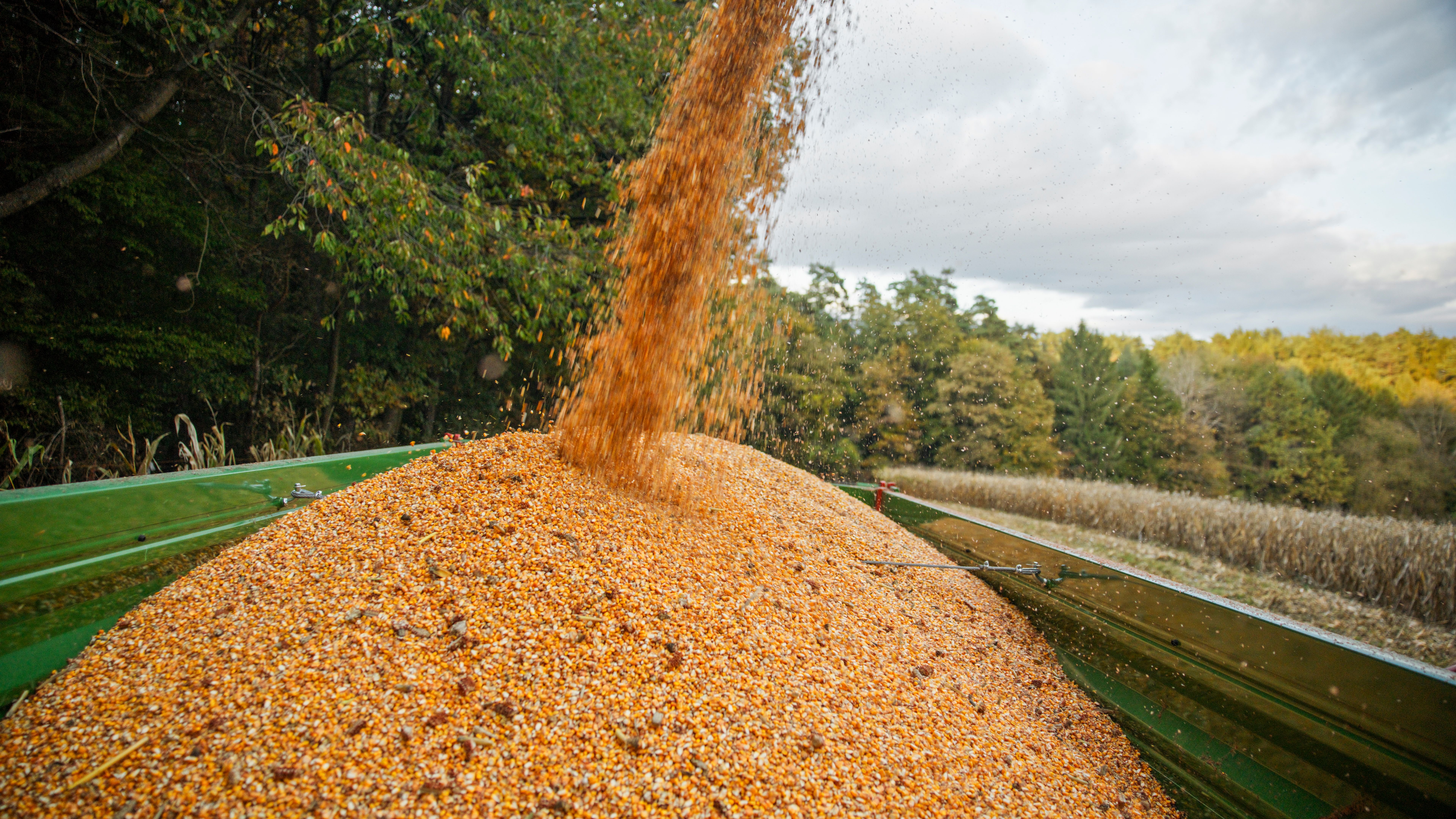 loading dump trailer