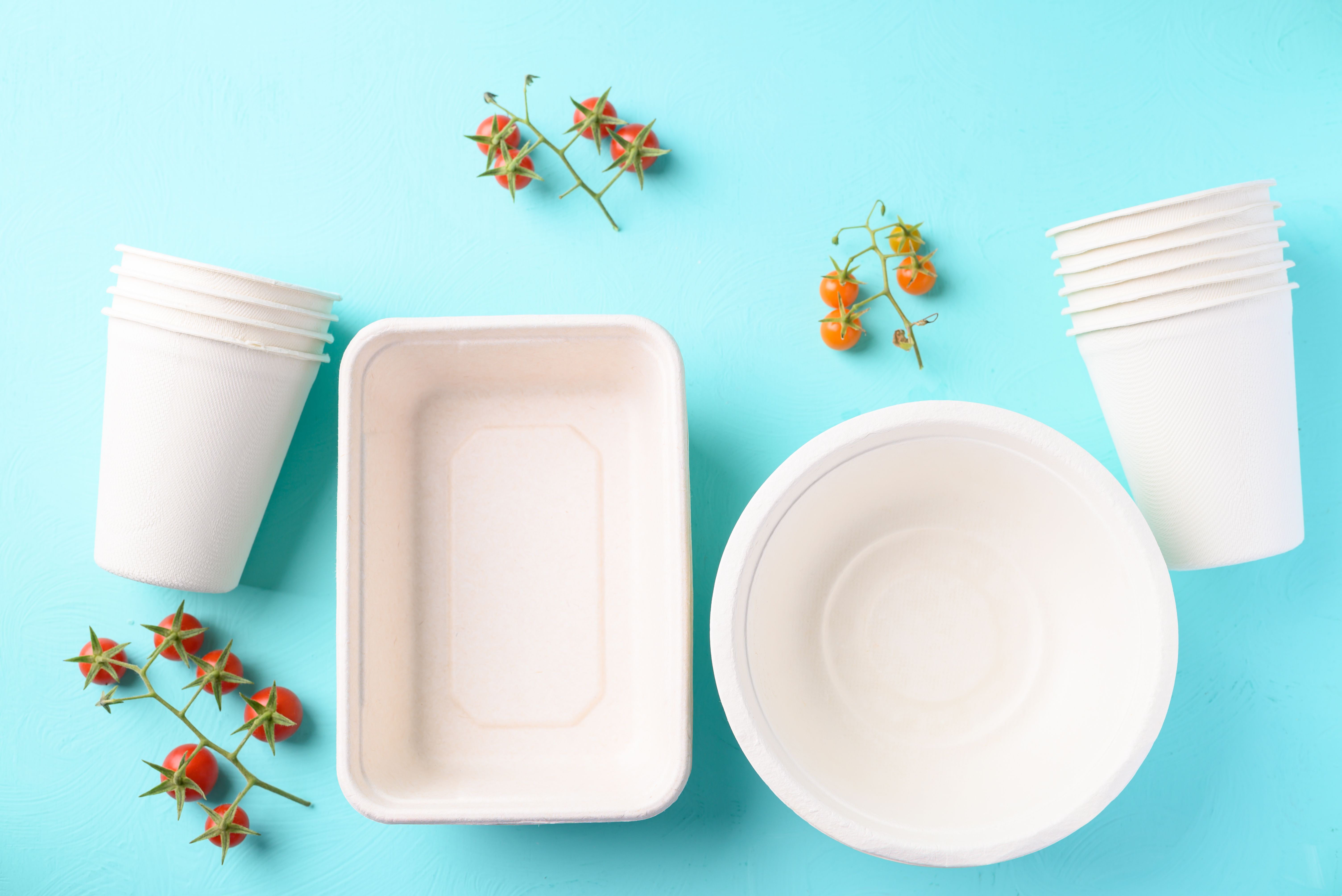compostable single use disposables products (cups, bowls and containers made of sugarcana bagasse)