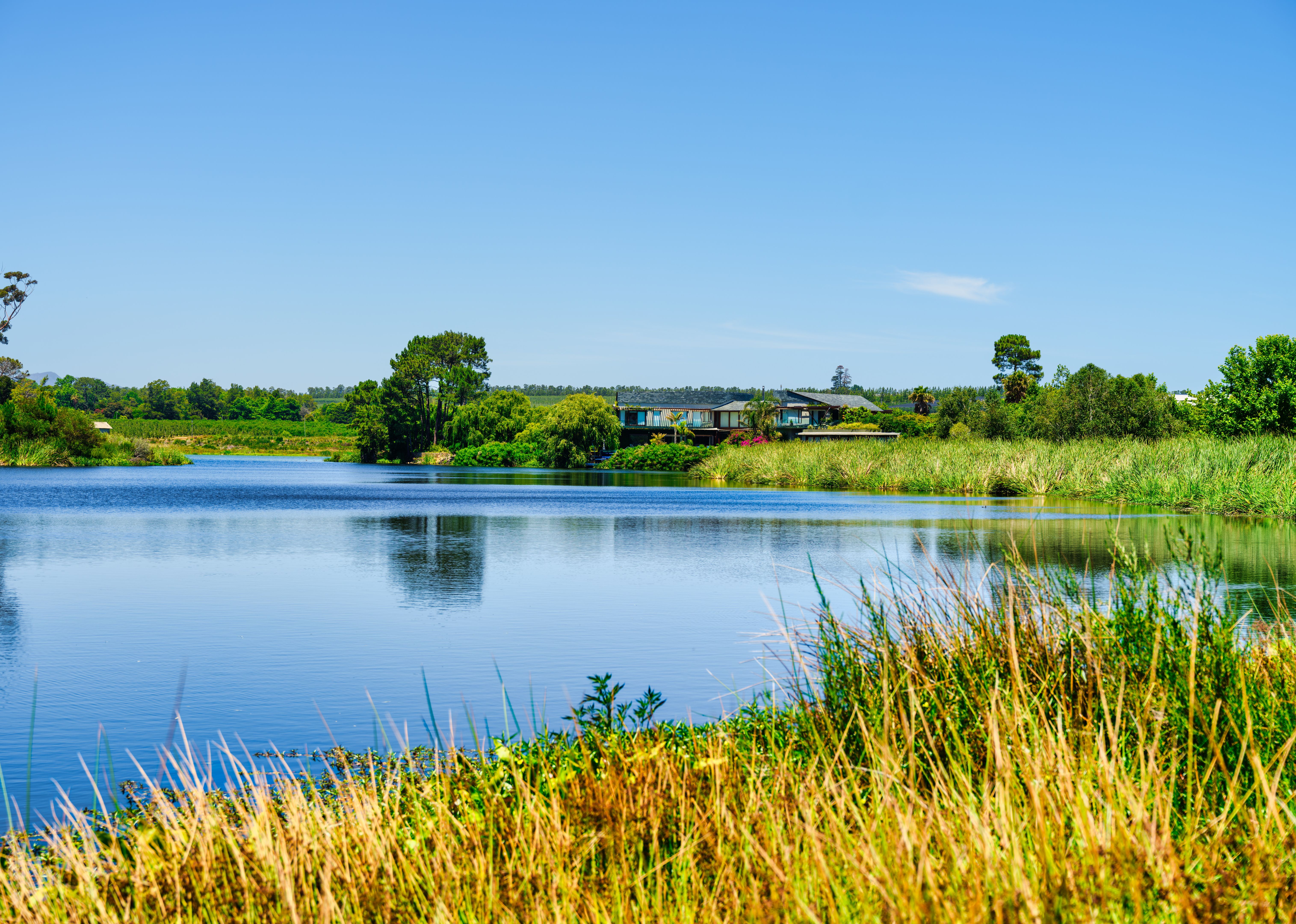 lake mountain view
