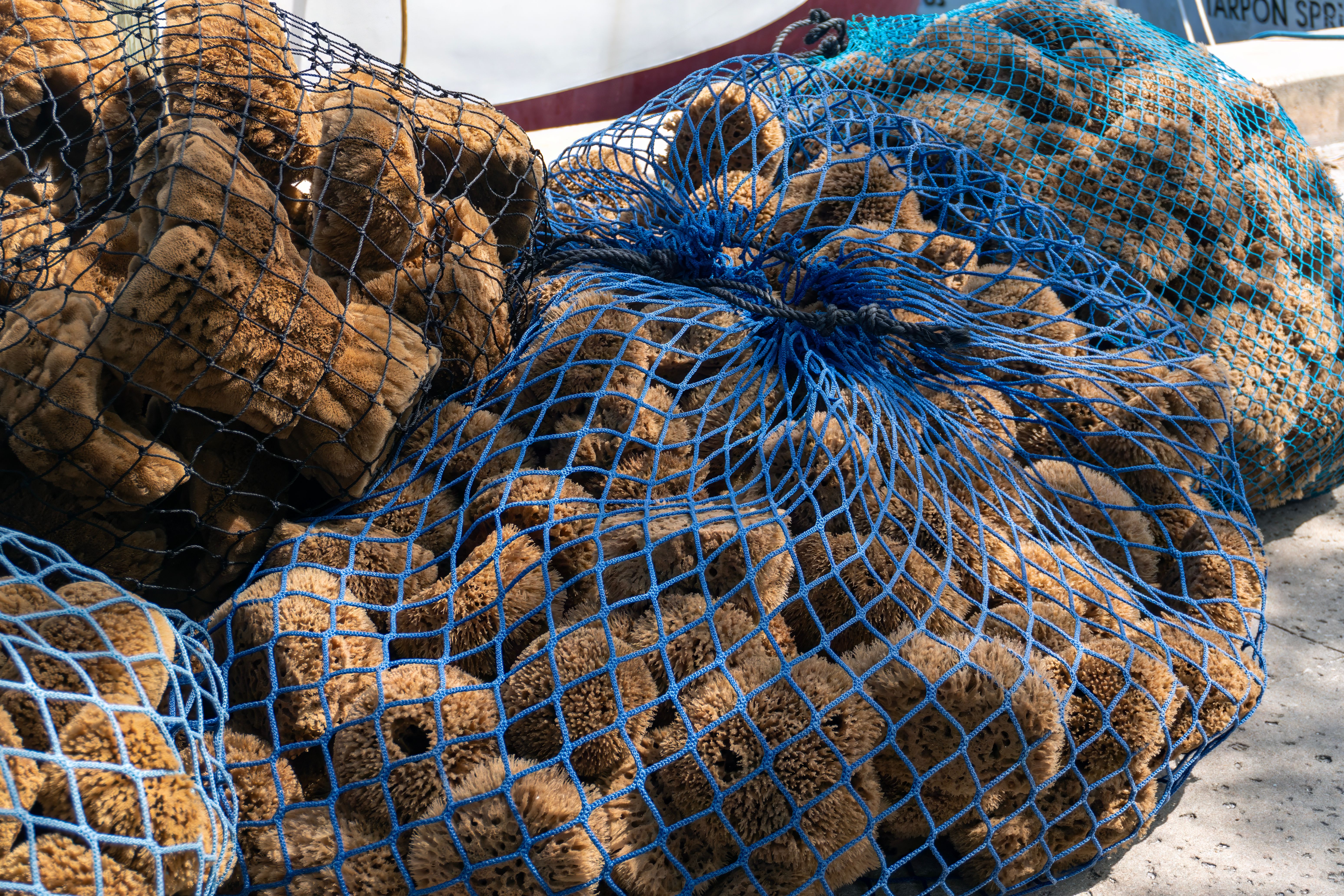 tarpon springs travel