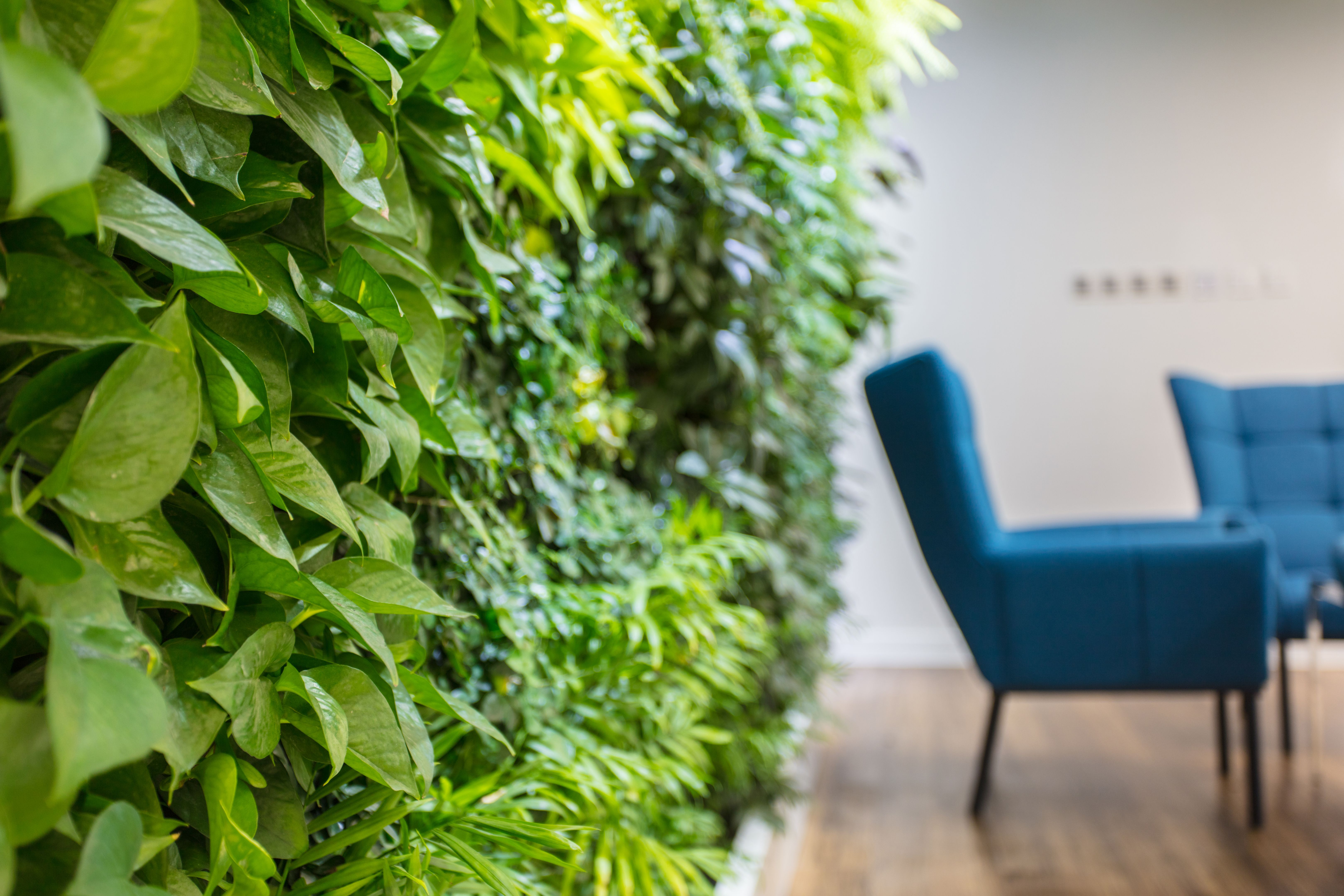 office greenery benefits