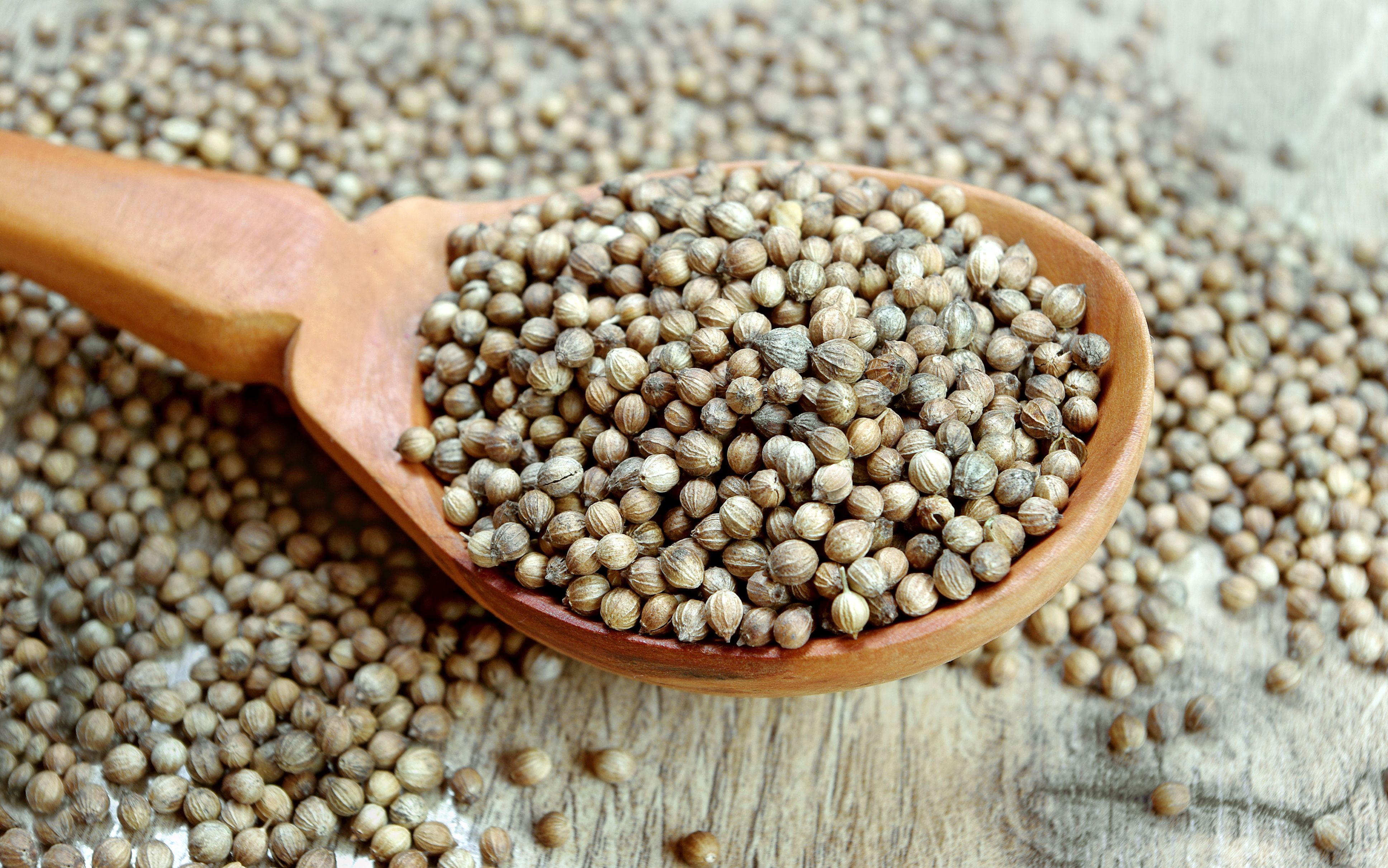 coriander seeds