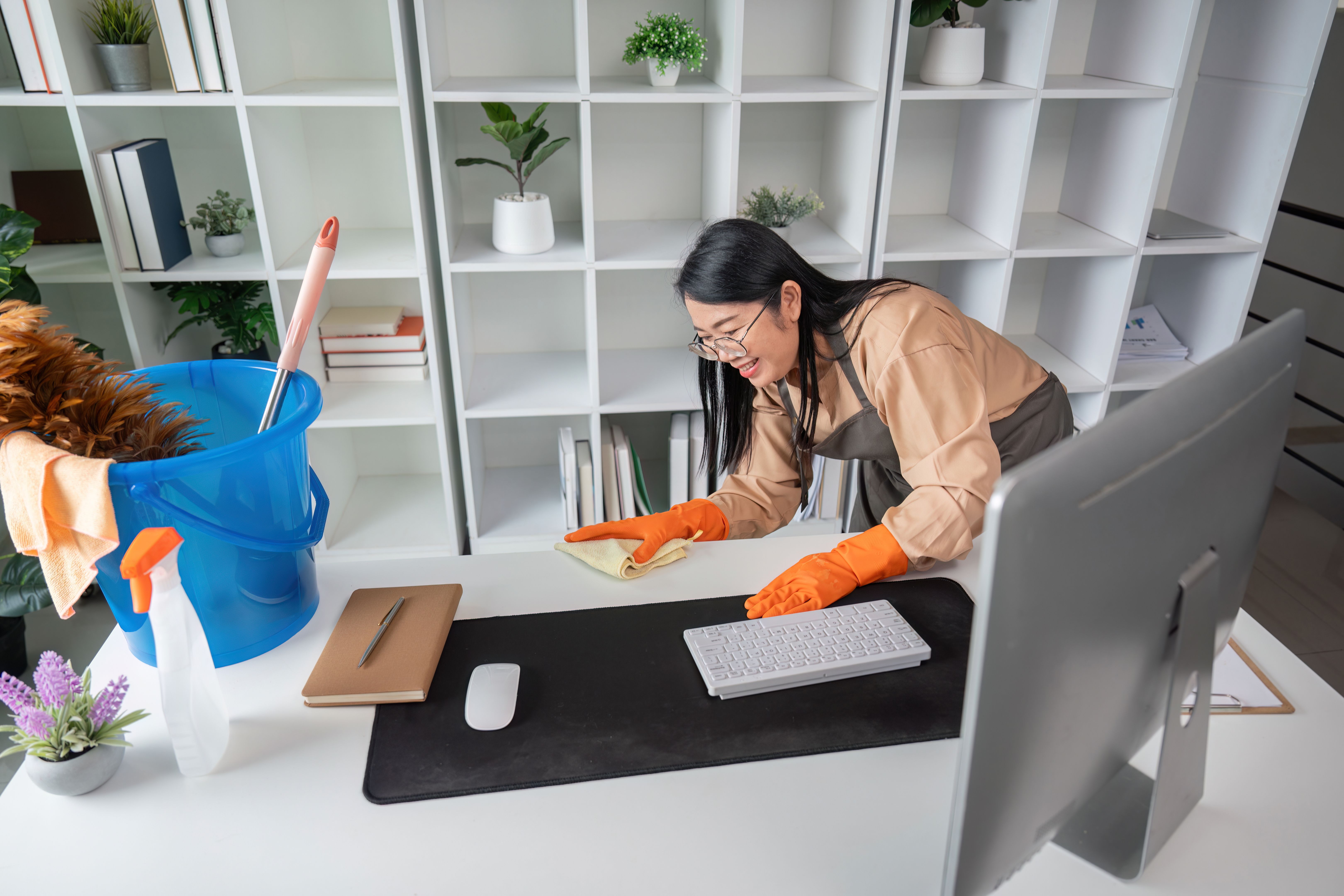 Professional cleaning desk