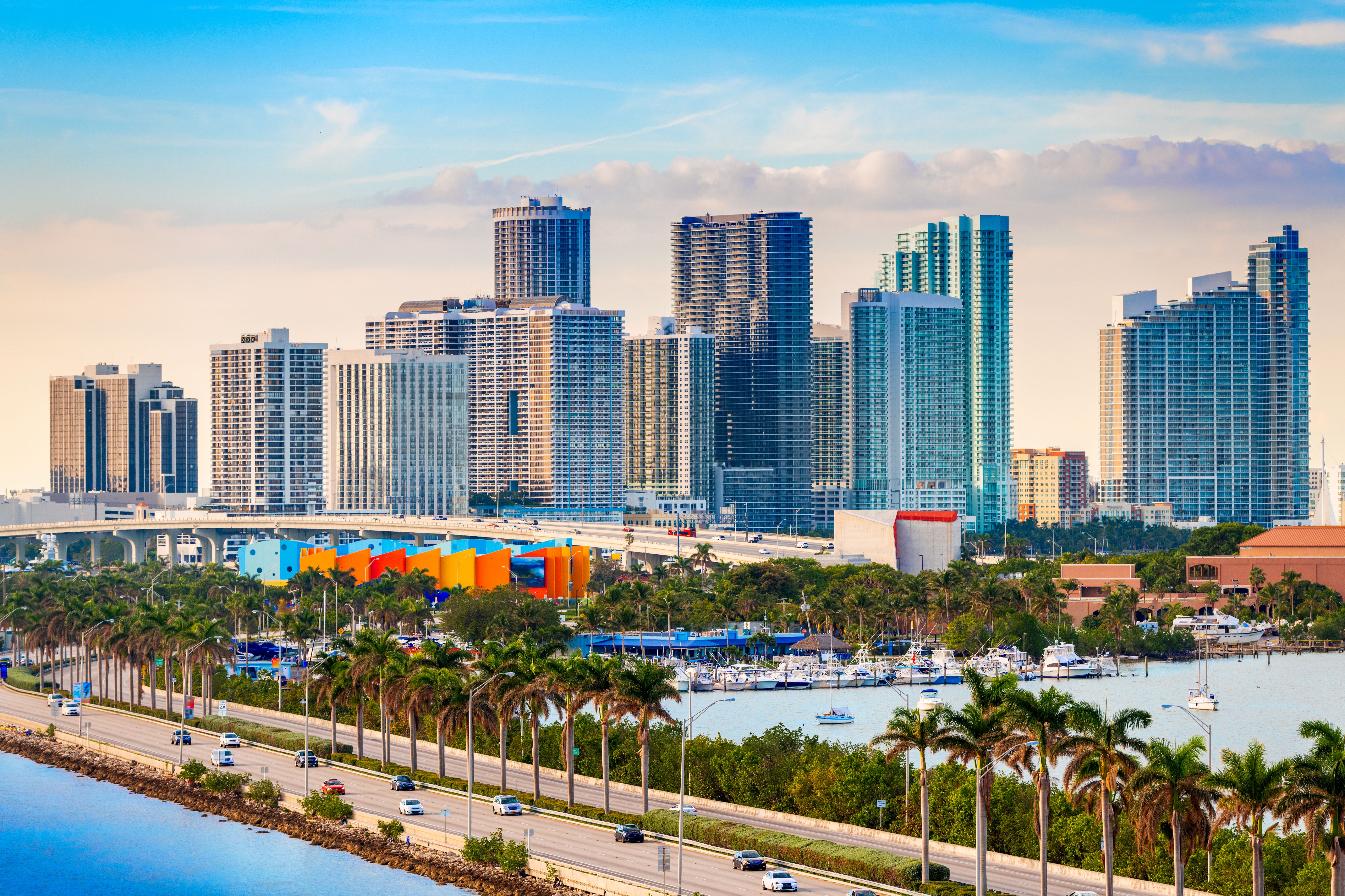 miami legal advise