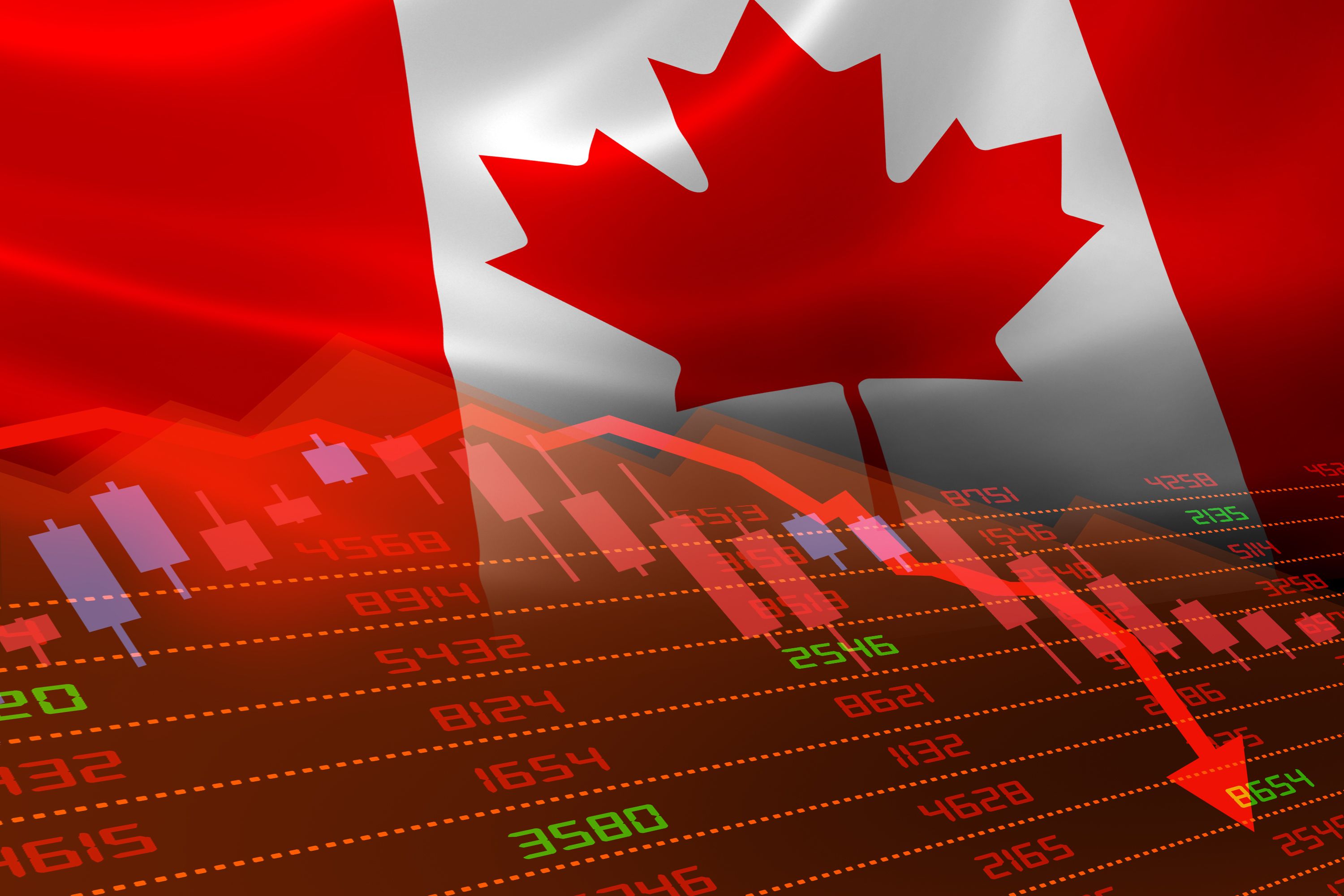 canadian market insights