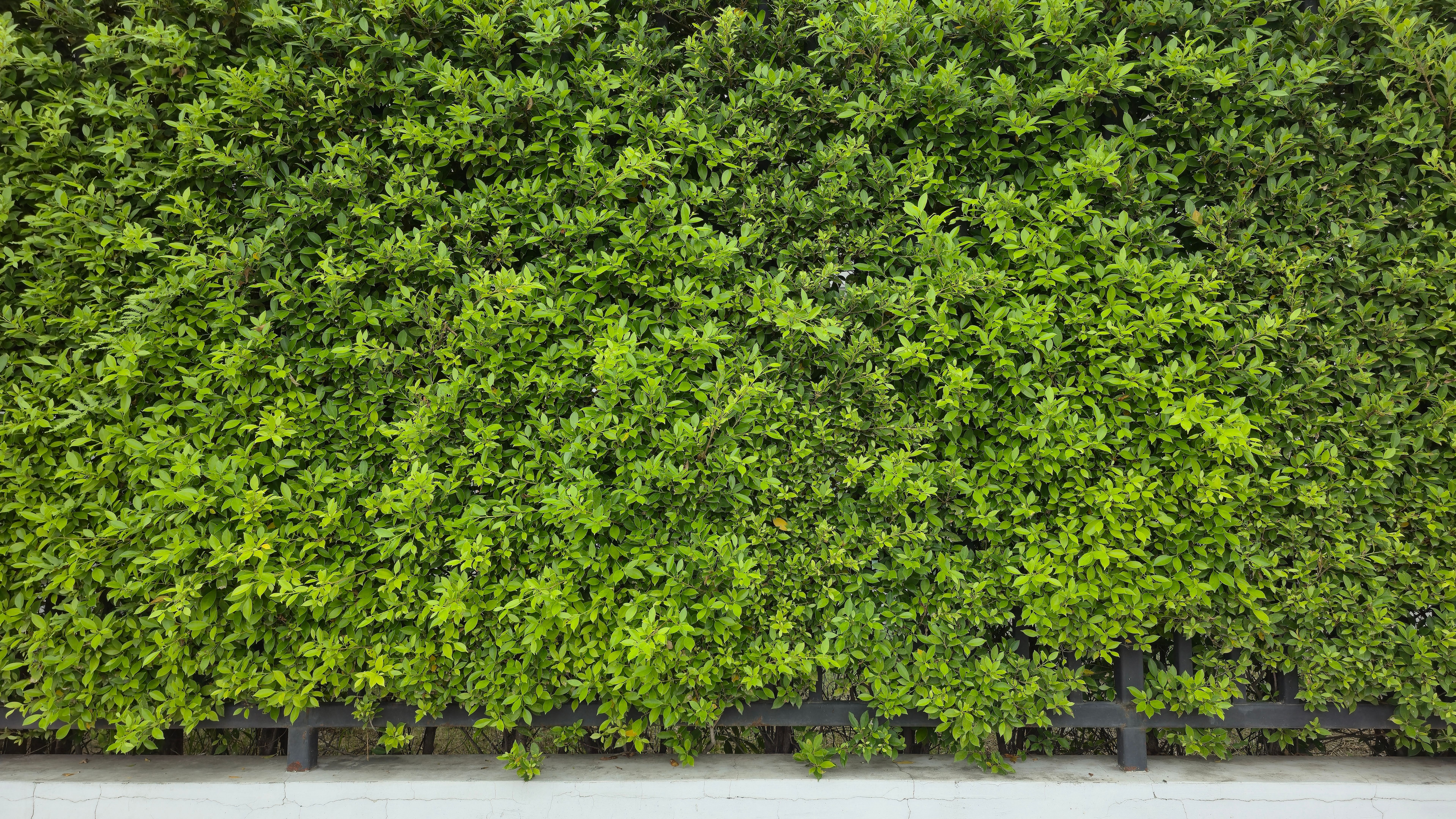 eco-friendly flooring