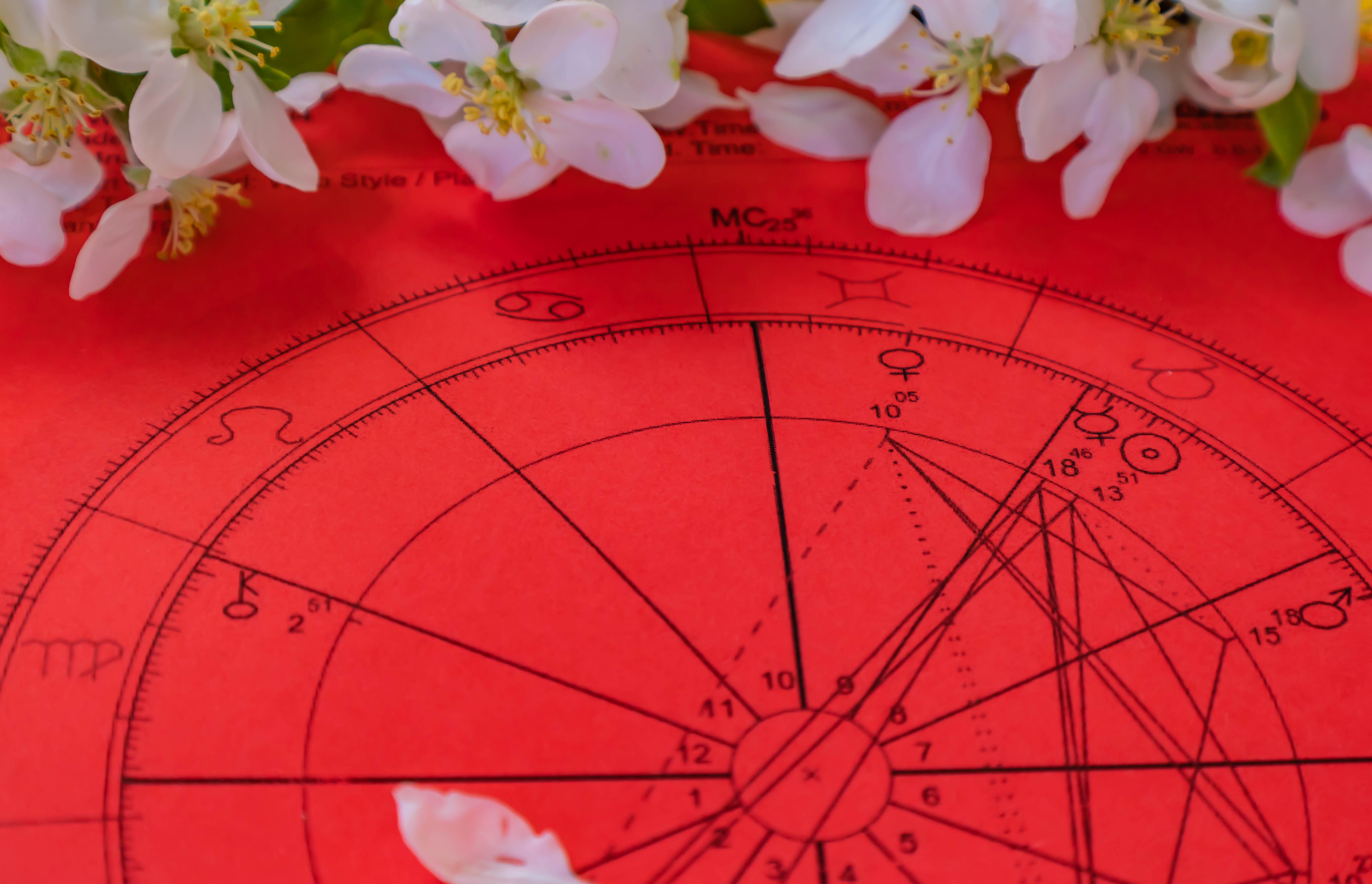 astrology chart