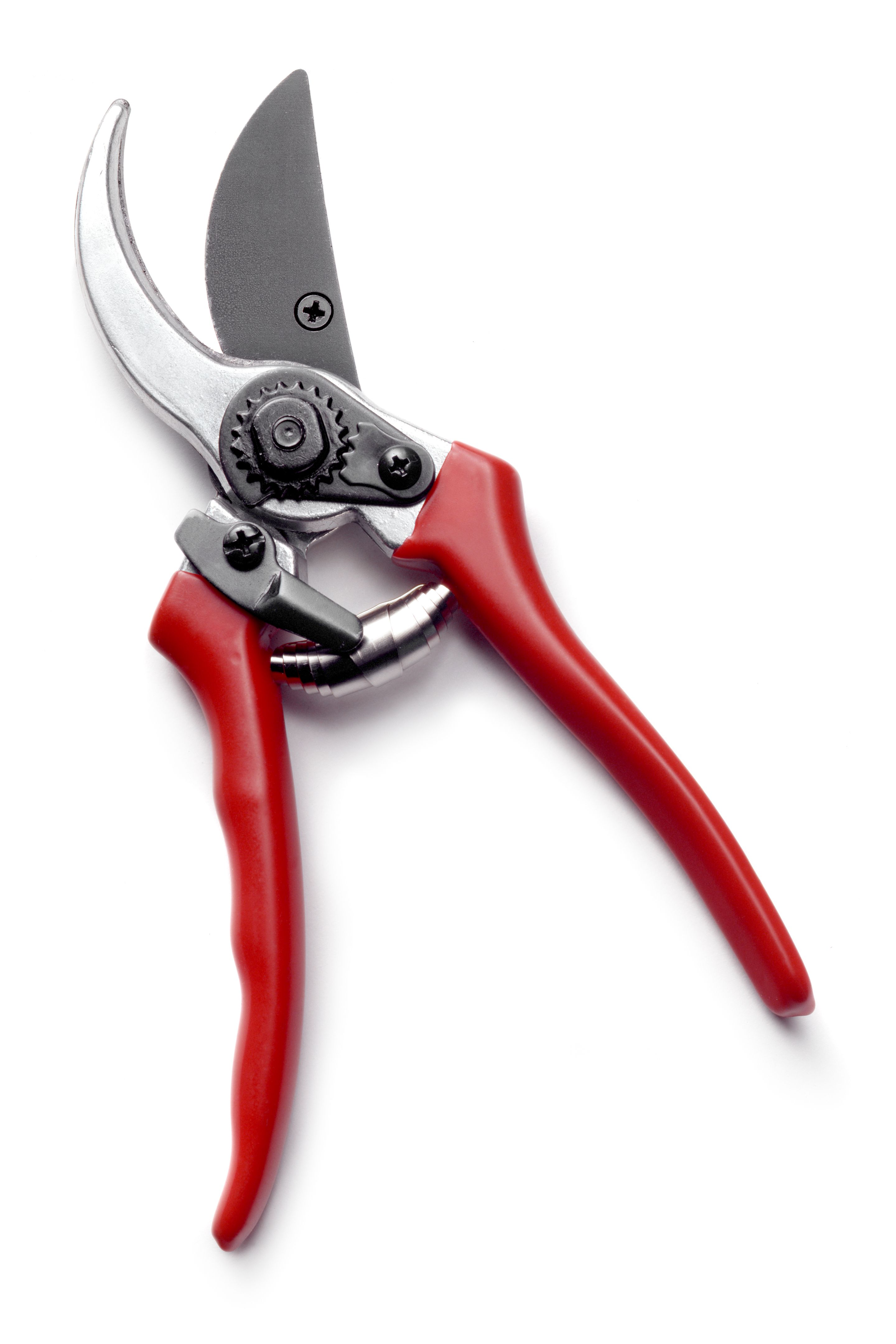 pruning shears