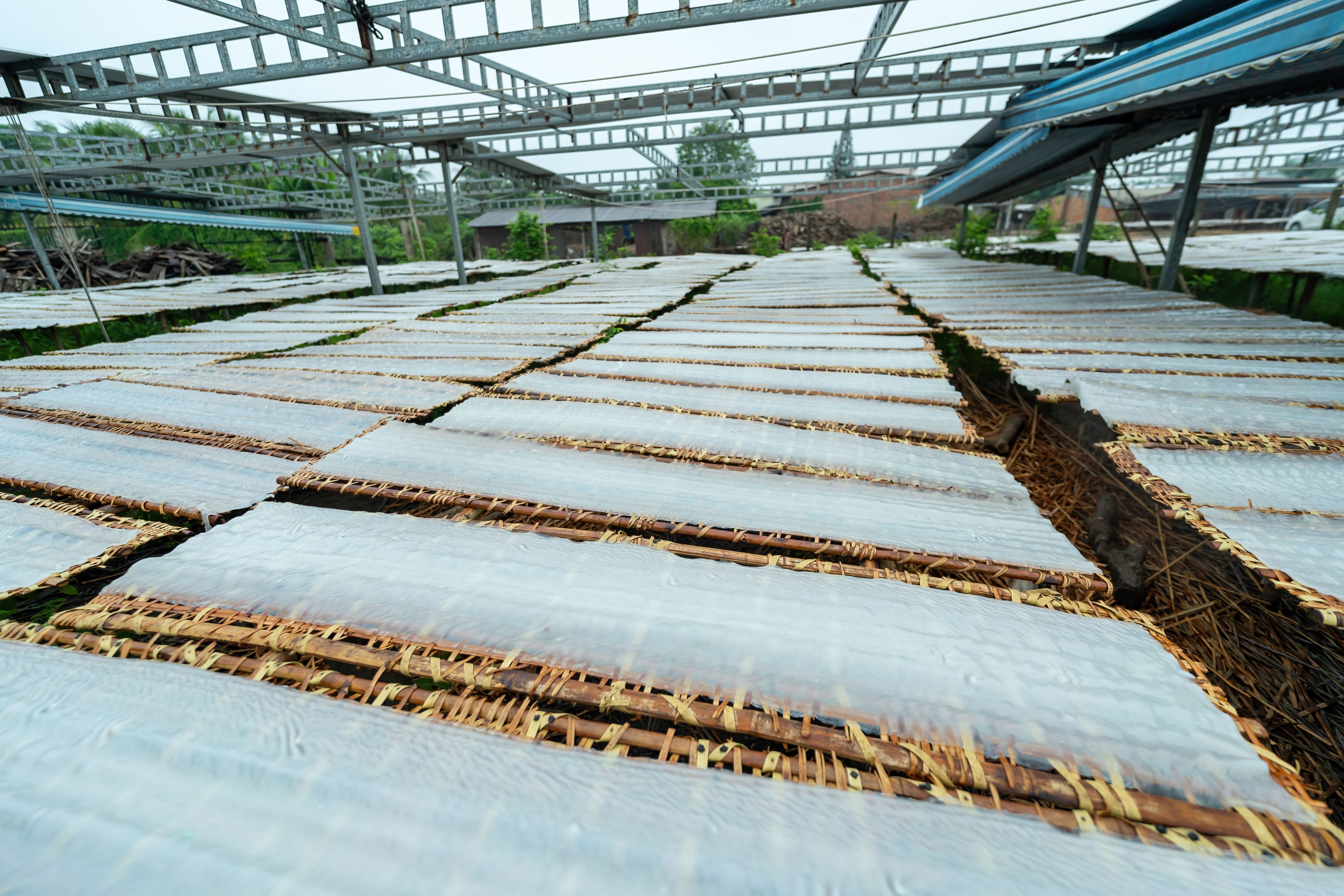 bio-swale construction