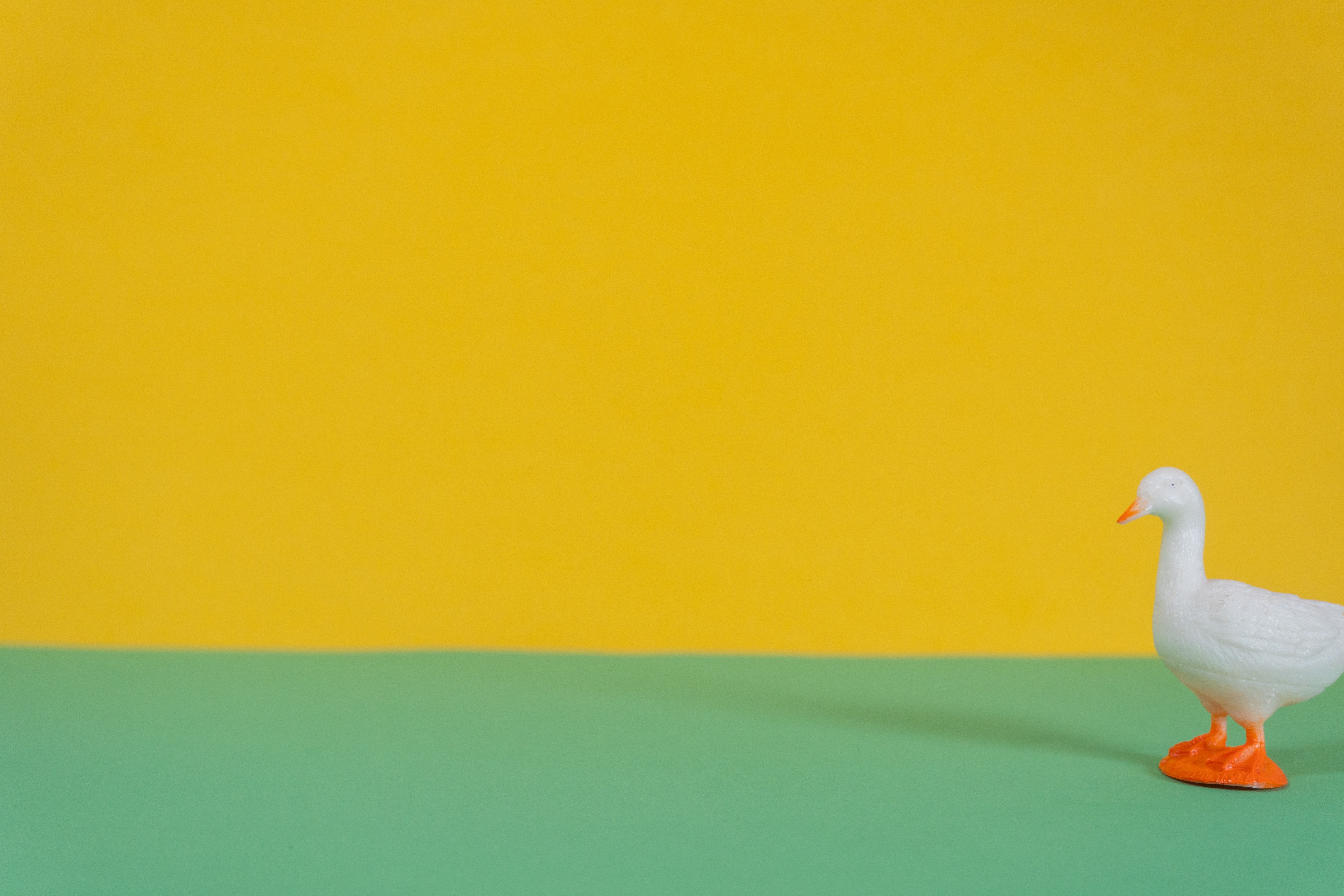 minimalist color photography