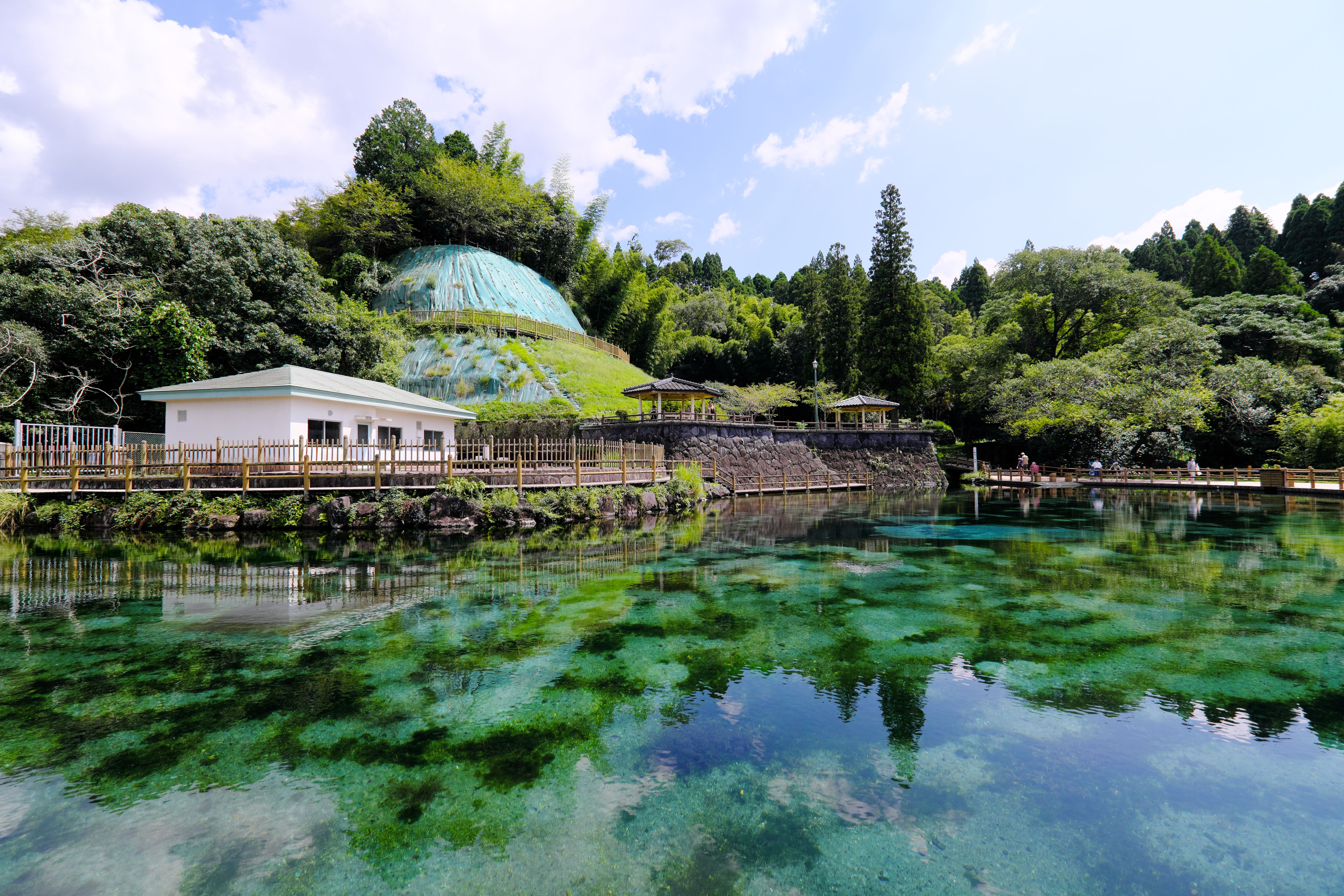 spring fishing Kagoshima
