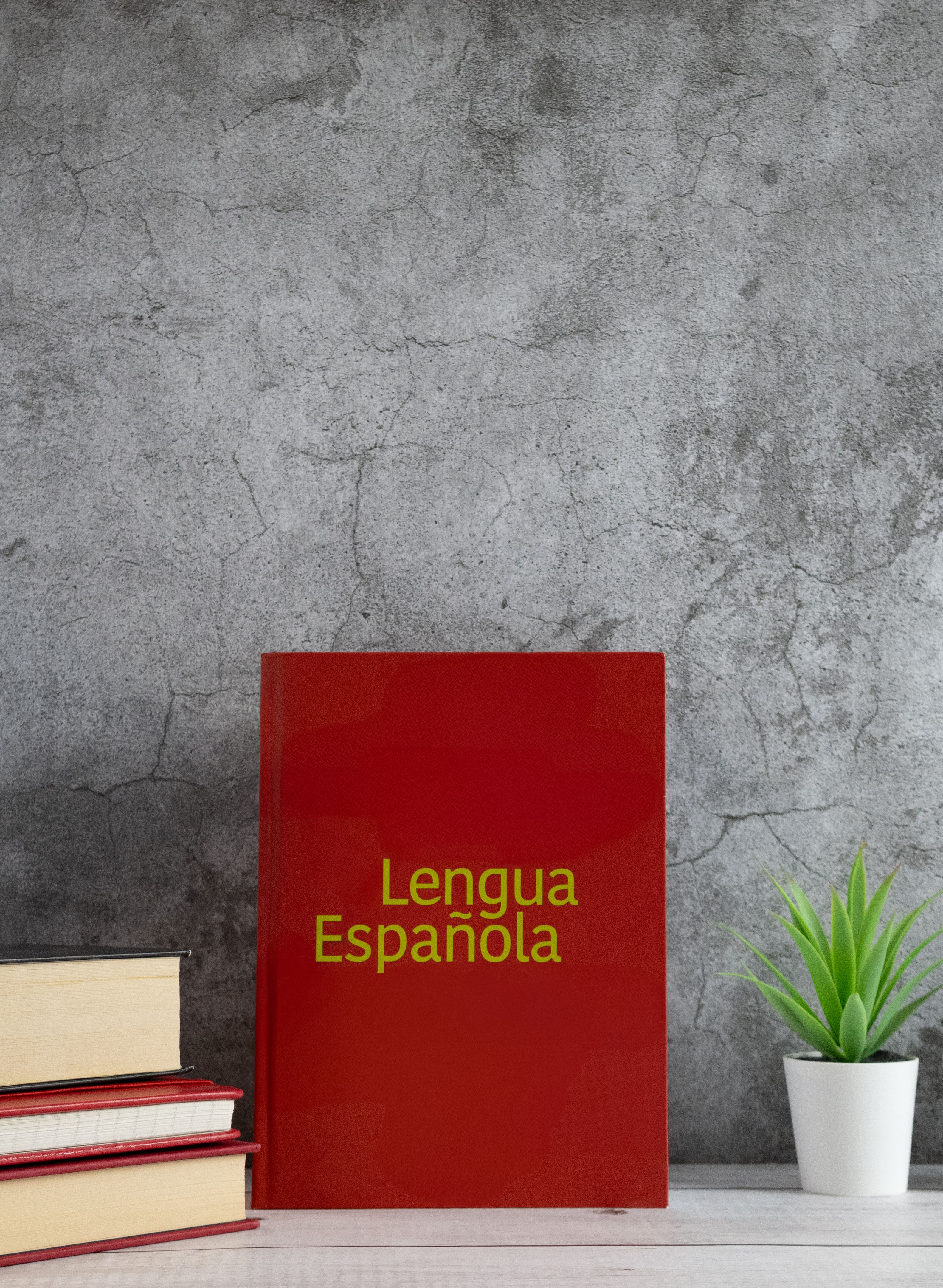 spanish language class