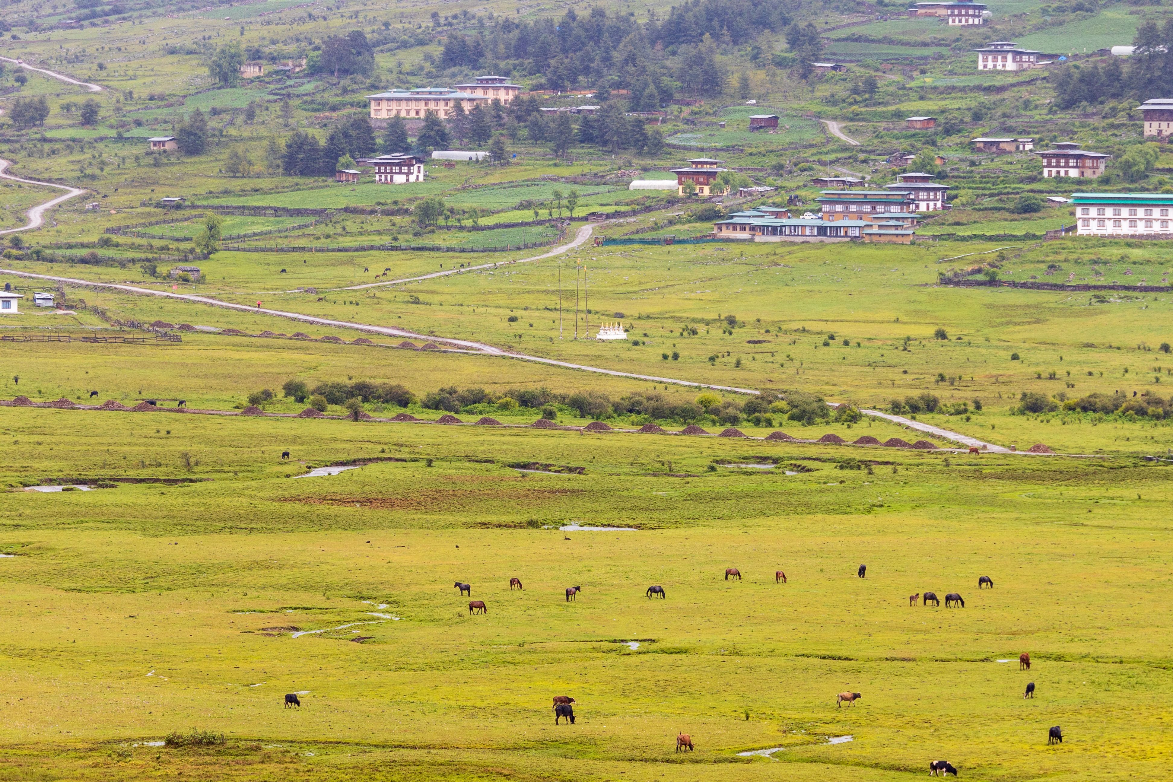 phobjikha valley
