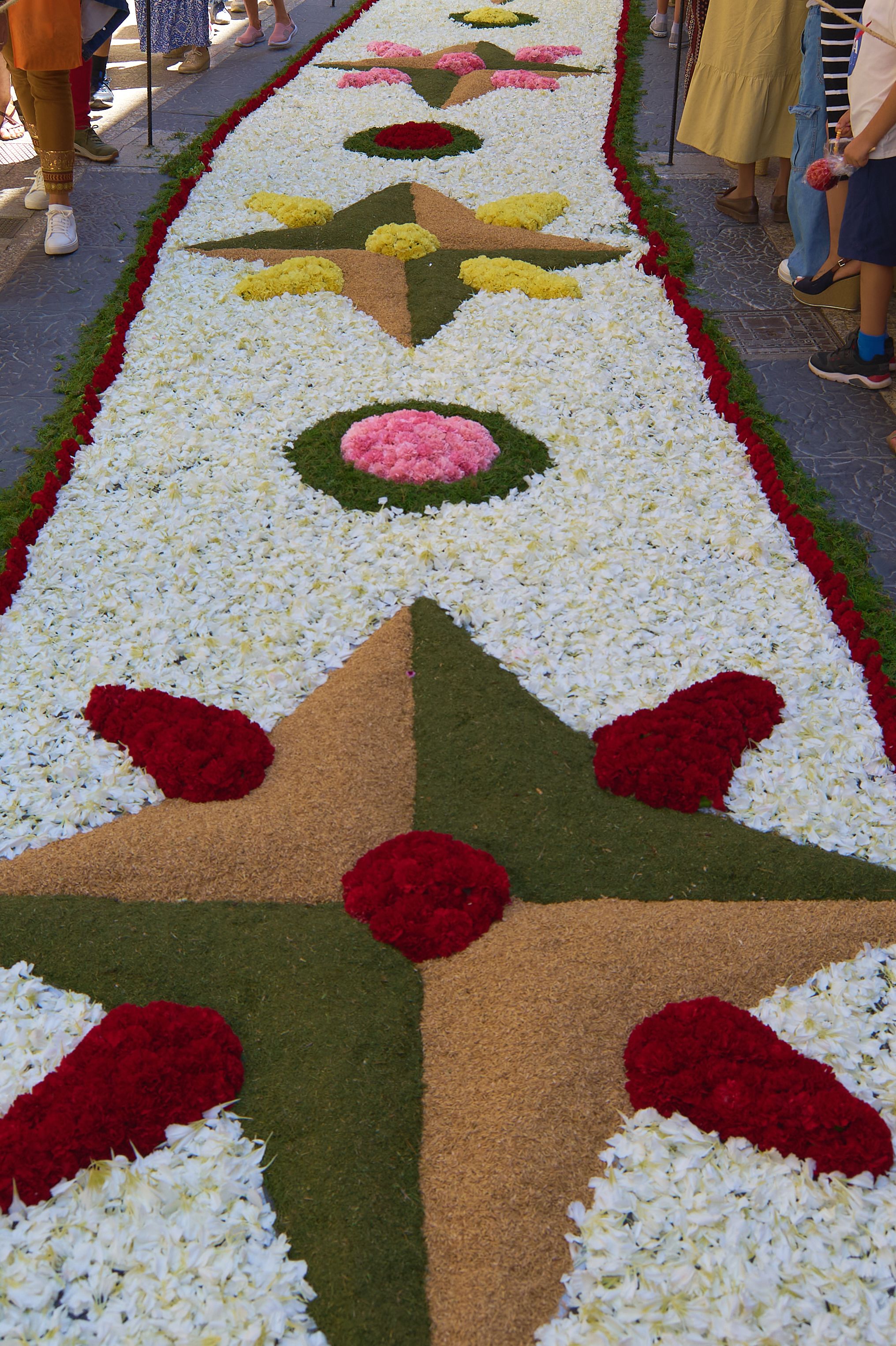 corpus christi neighborhood