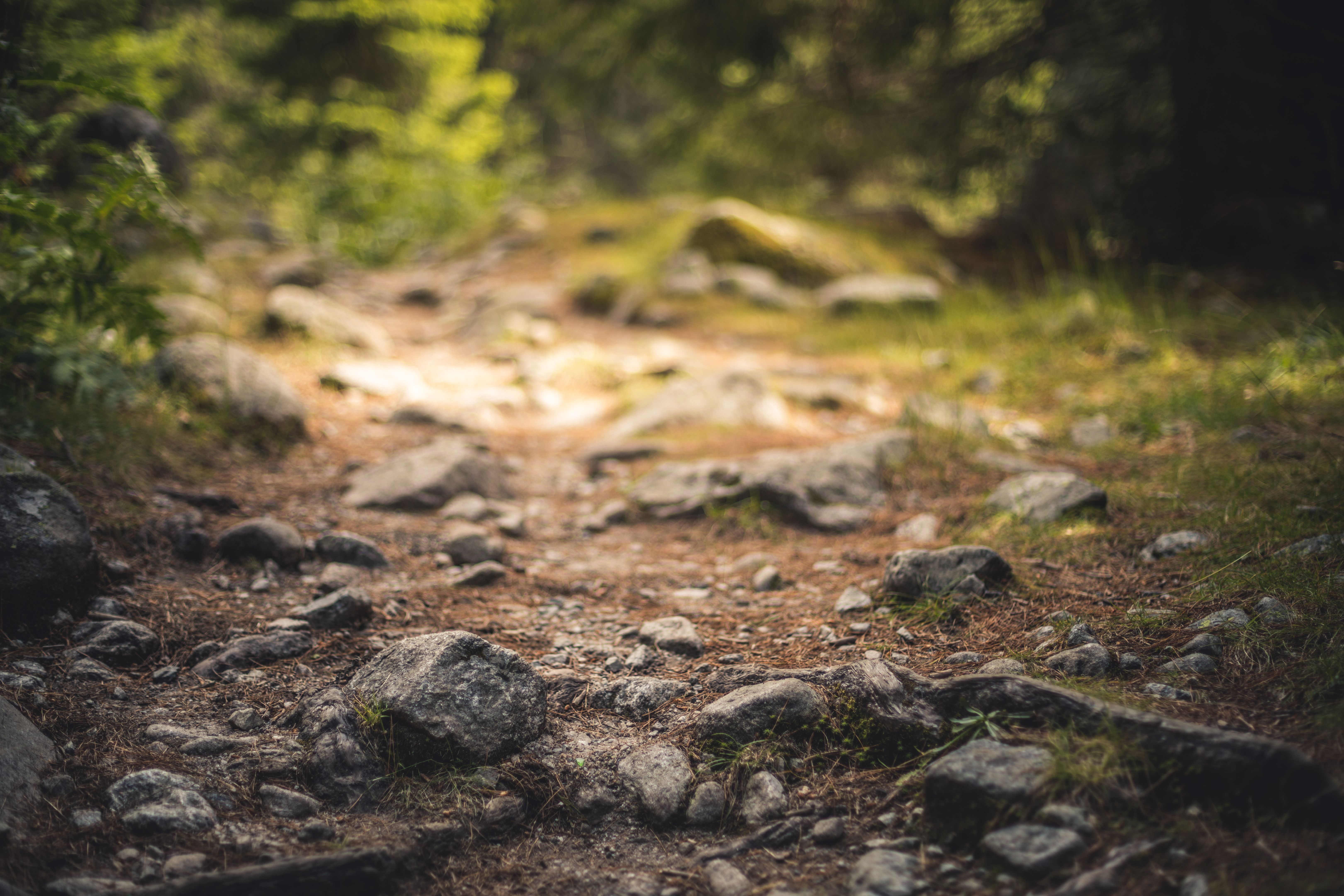 walking path