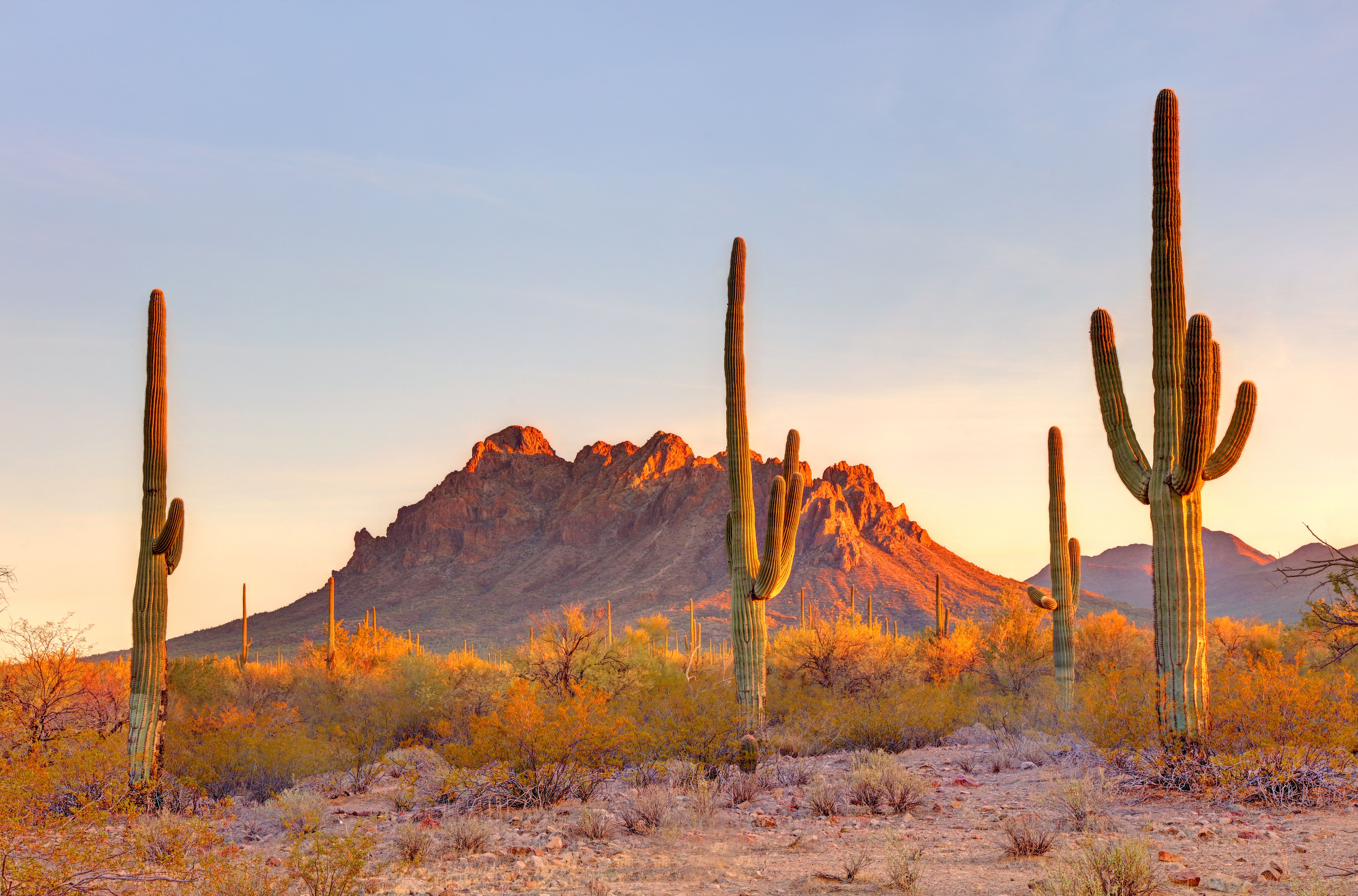 usa landscape